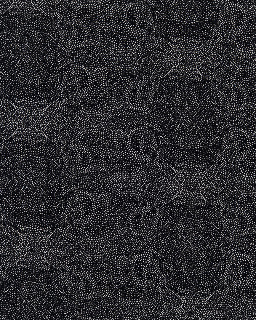 Palizada Fabric Swatch - at300nelson