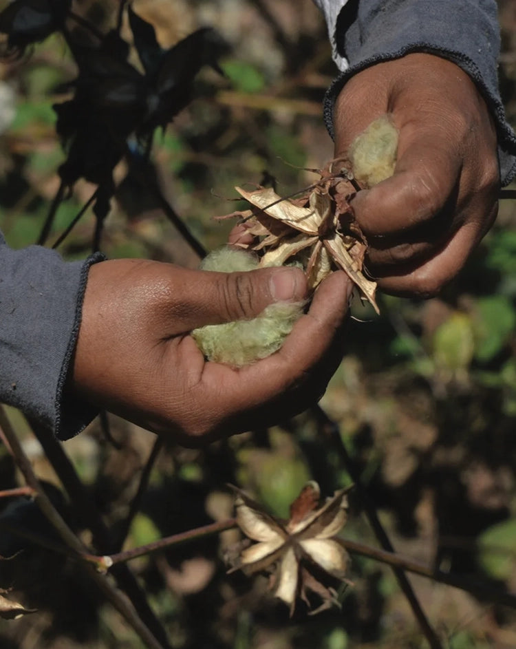 When Organic Isn't Good Enough, Grow Your Own