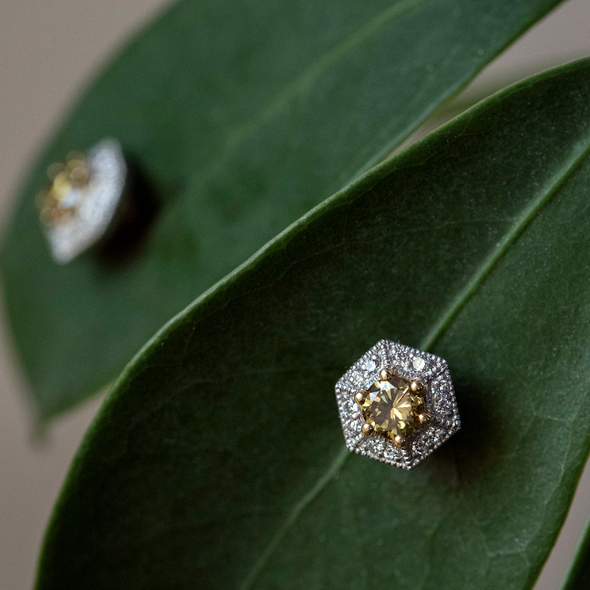 Signature Abella Platinum & 18K Gold Yellow Diamond Earrings