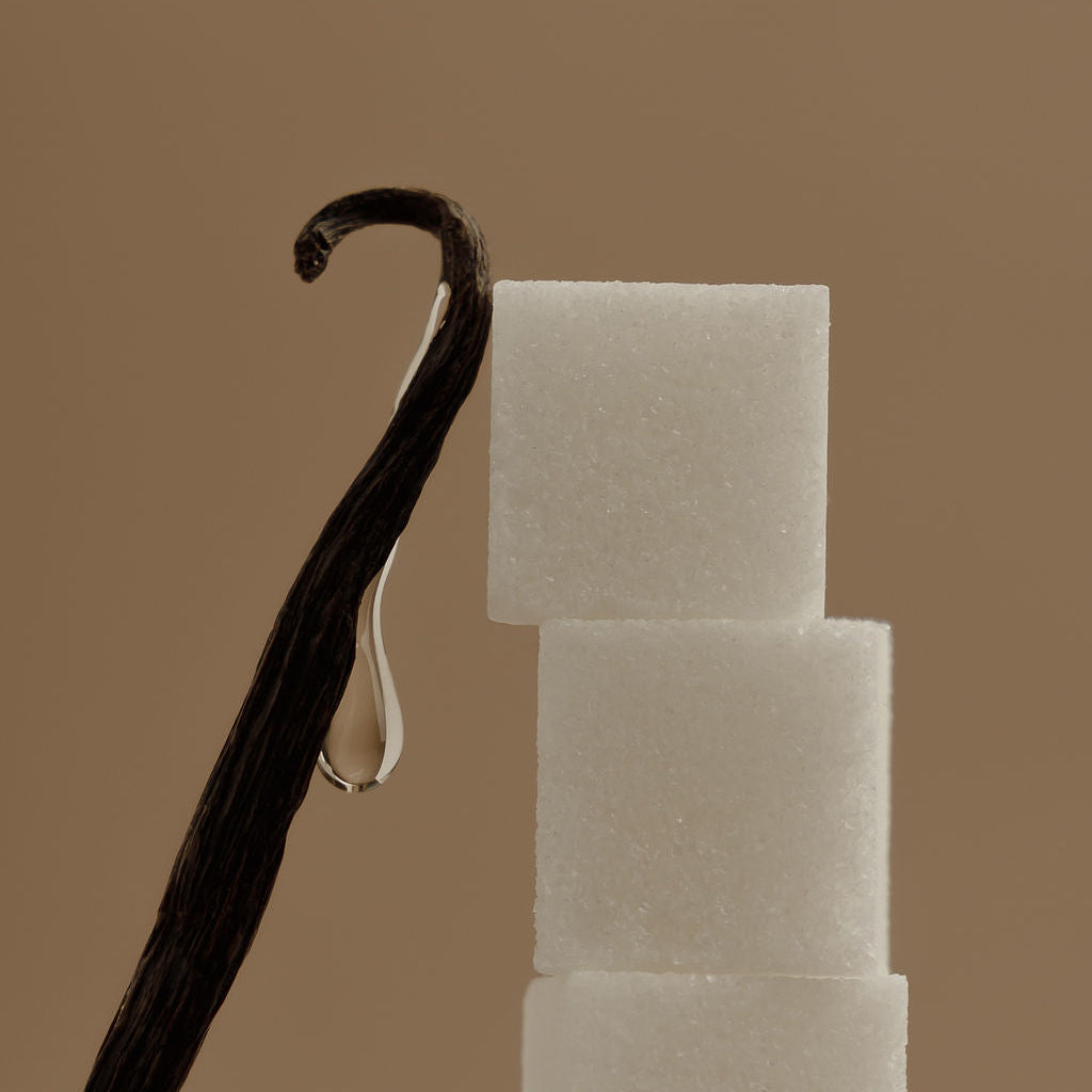 Vanilla bean next to three sugar cubes on a brown background