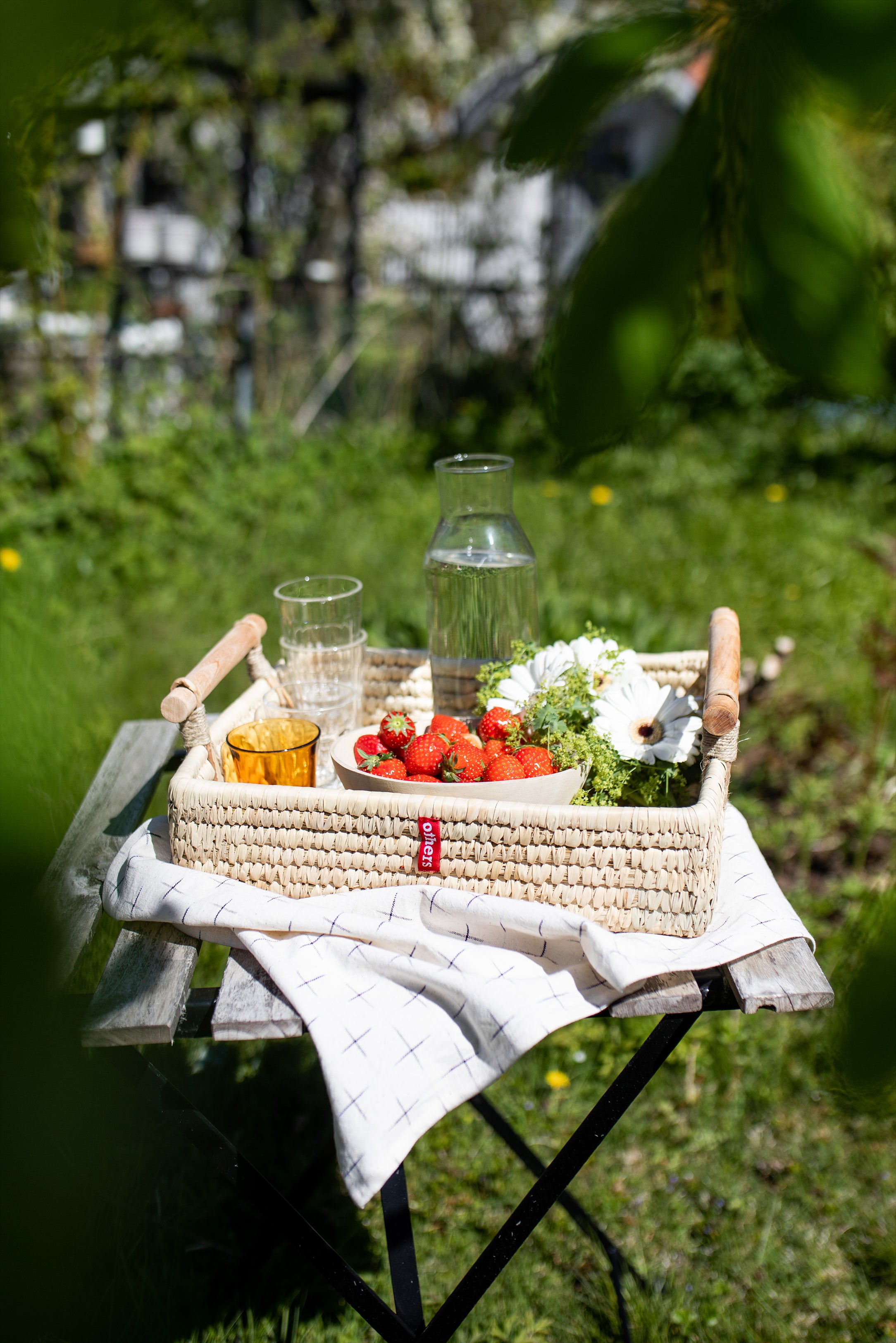 Others Tray Basket