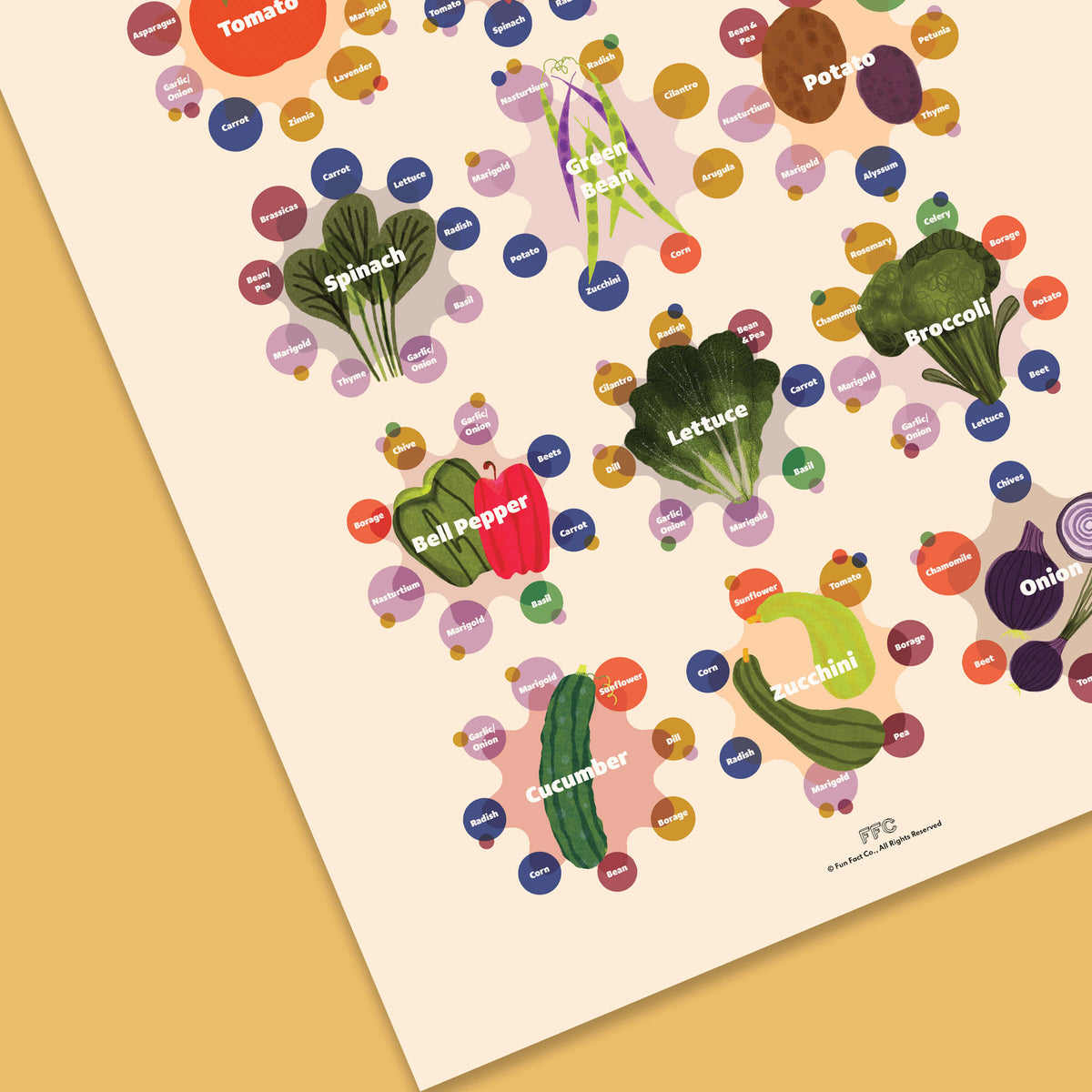 Companion Plants Illustrated Infographic Print - Side View