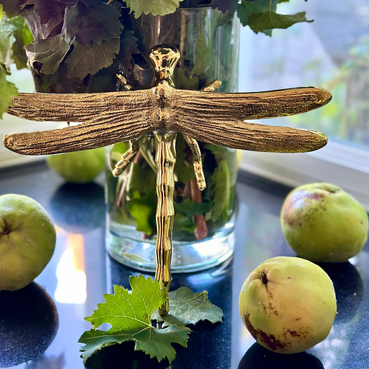 Dragonfly - Nima Oberoi Lunares 