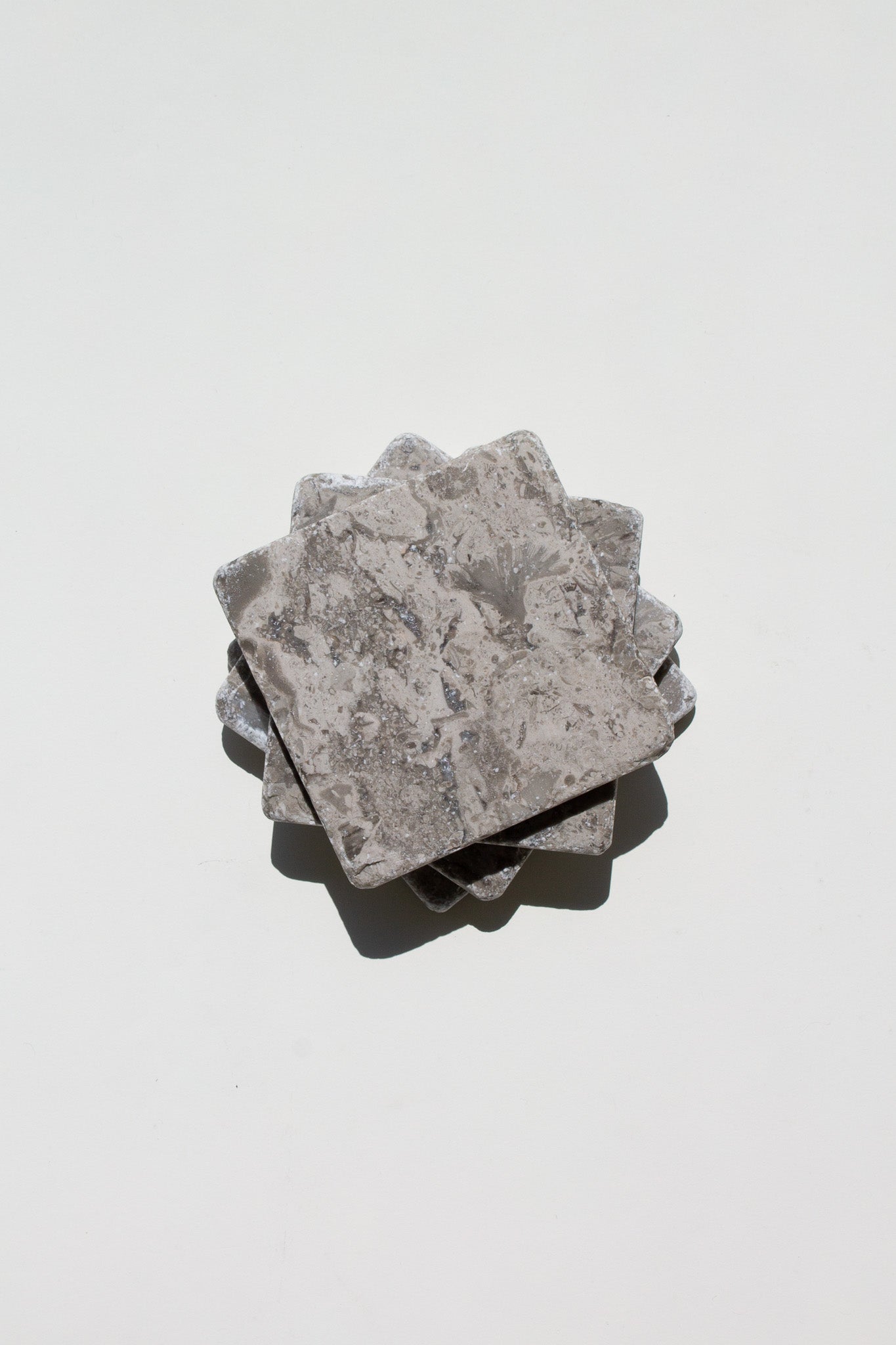 fossil