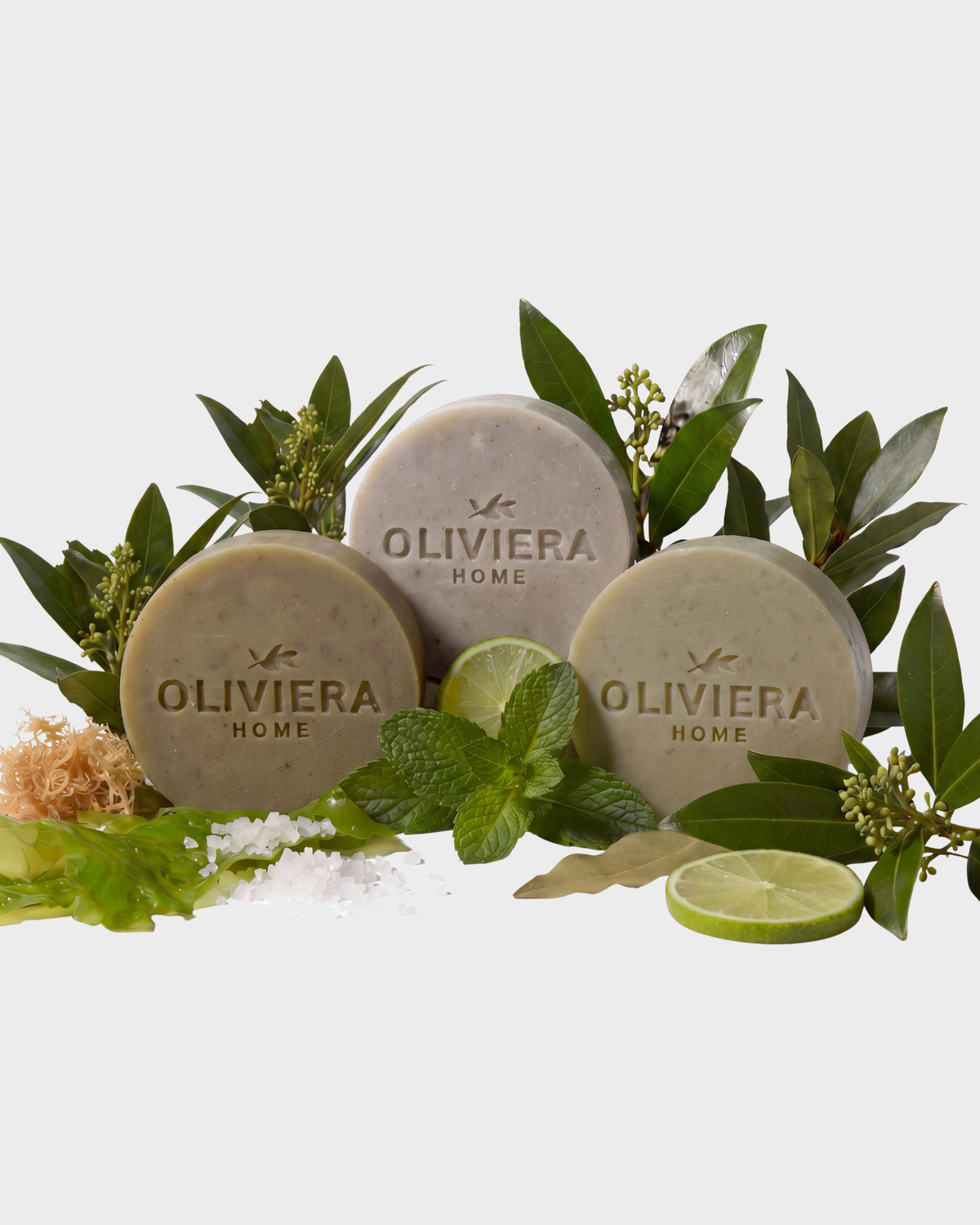 Seaweed, Peppermint and Laurel Bay Bar Soap