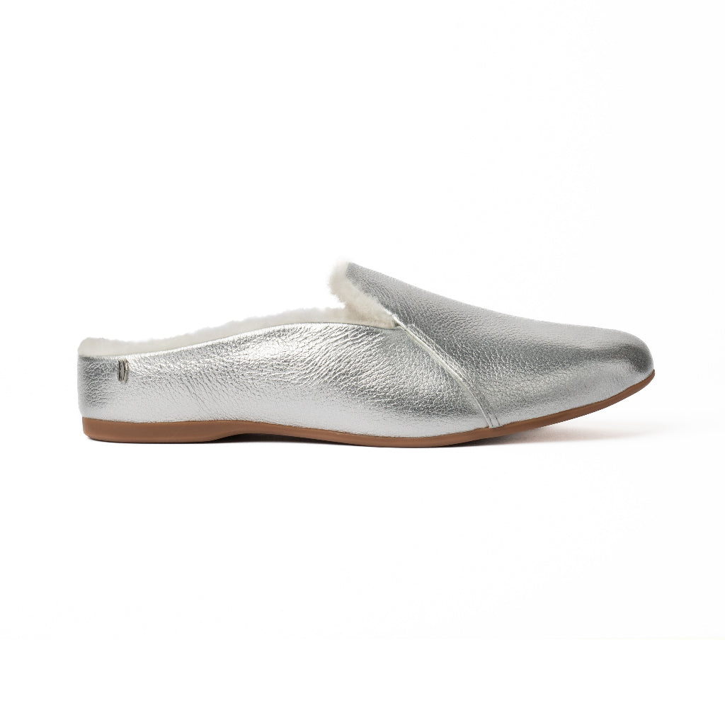 #color_limited-edition-silver