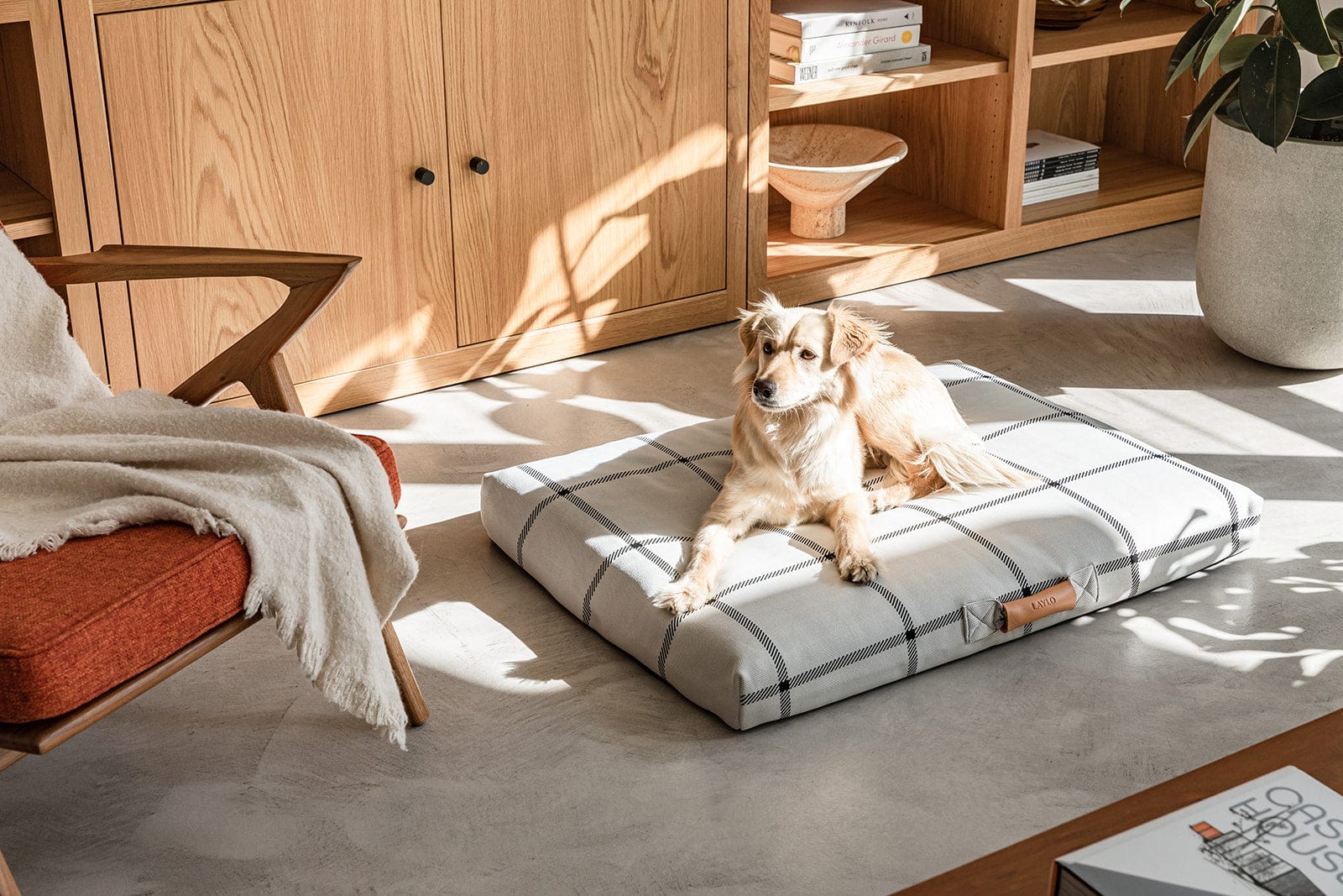 Laylo Pets LAY LO Pets - White Plaid Dog Bed or Bed Cover Lay Lo Pets Dog laying in room, plaid dog bed