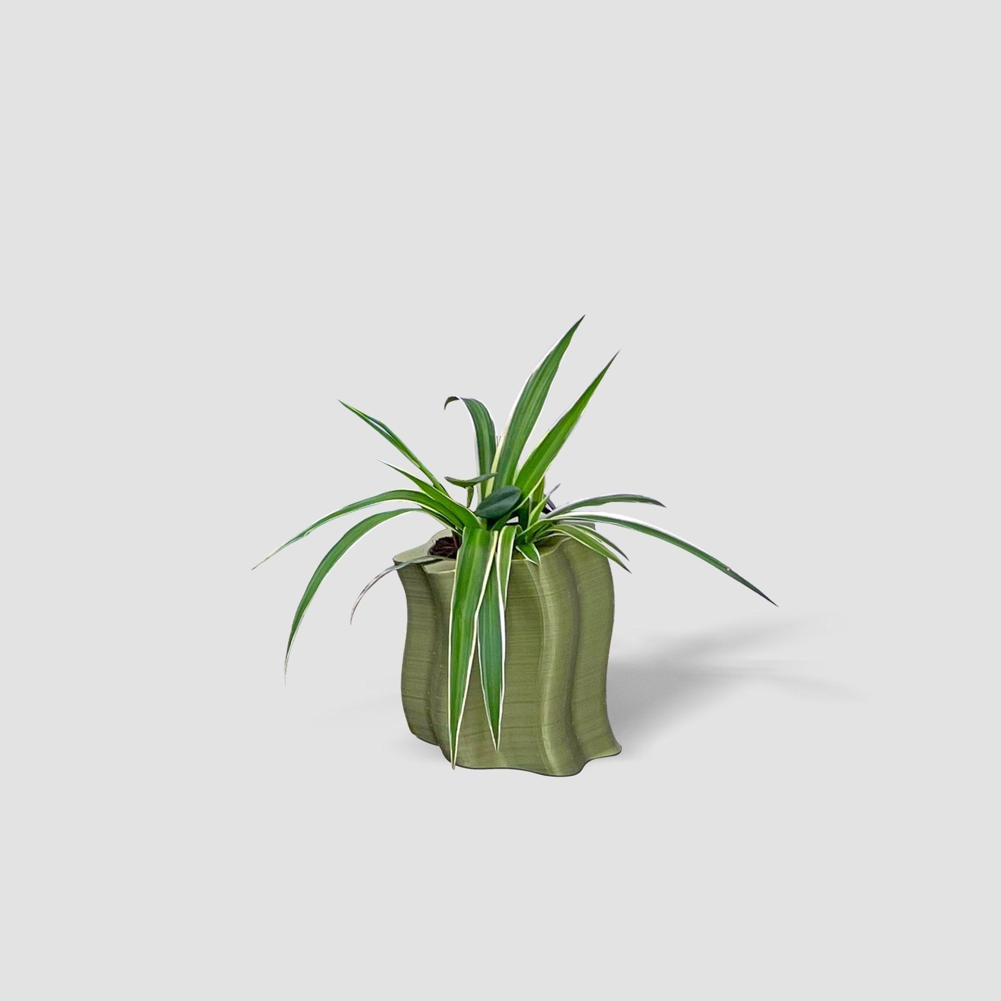 Frosting Short Planters - Form&Seek