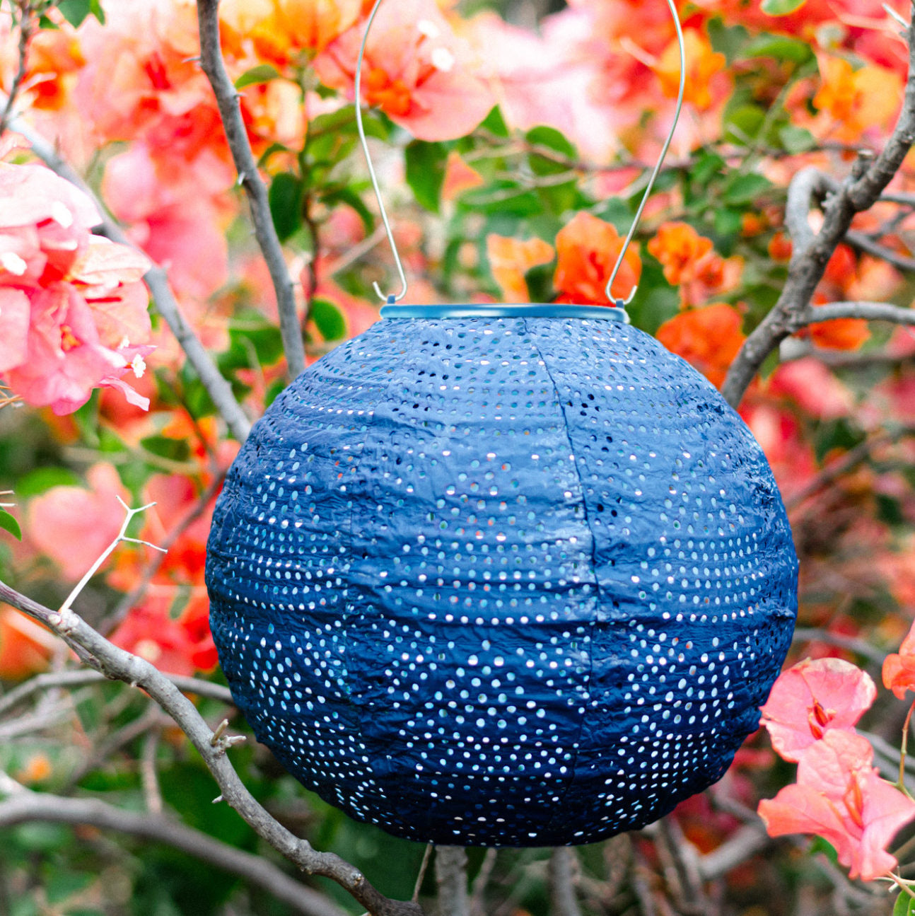 Soji Stella 8" Globe Tyvek Solar Lantern in flowering bush