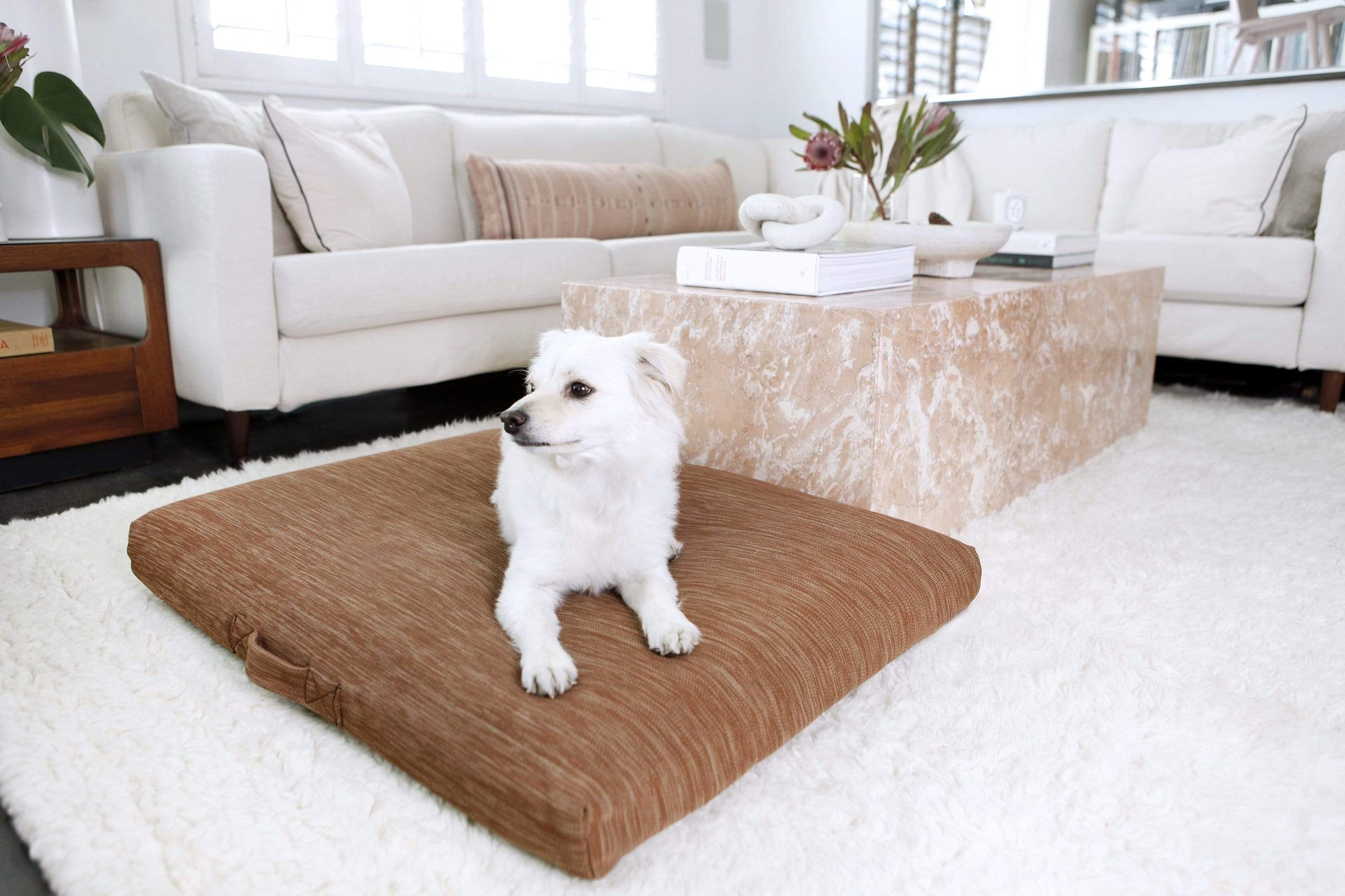 Laylo Pets Minimalist Terra Dog Bed or Bed Cover Lay Lo Pets