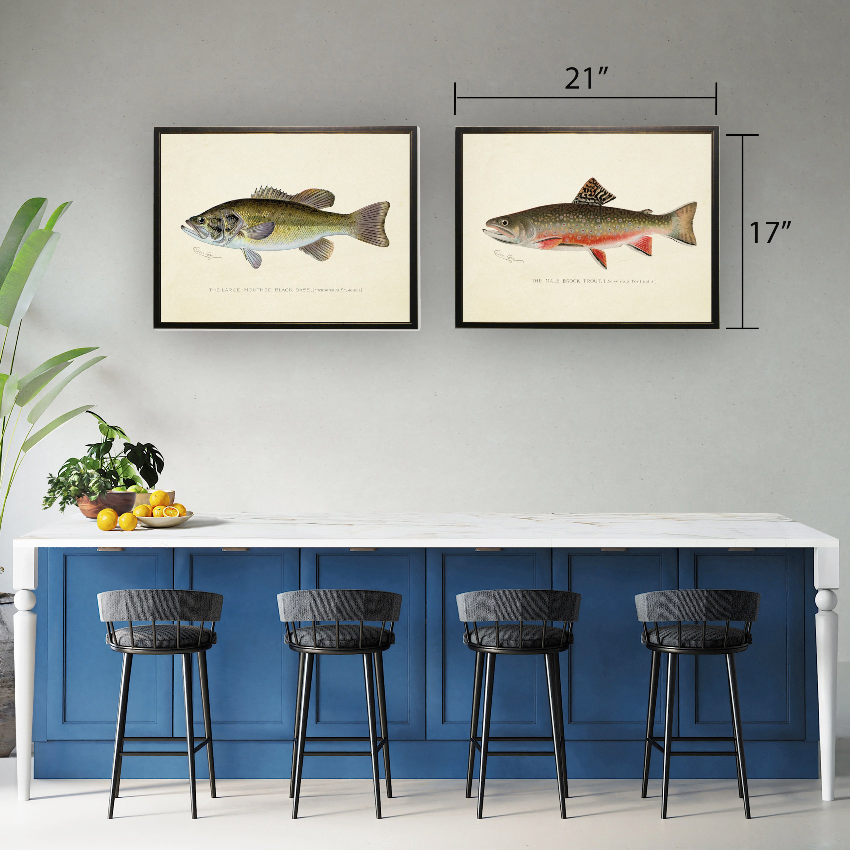 Male Brook Trout Print in Copper and Black Frame