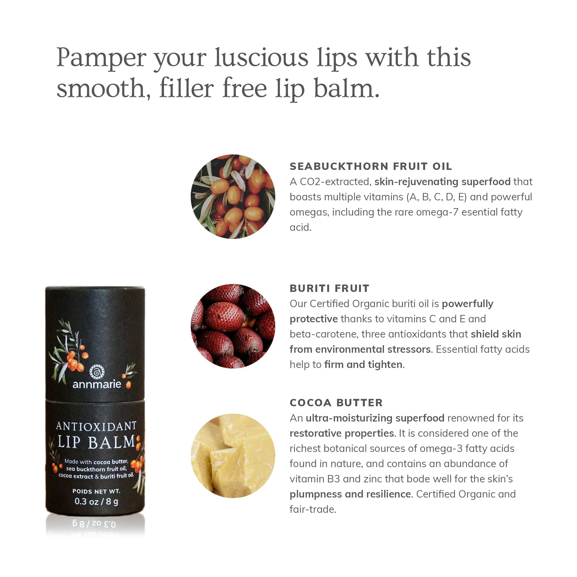 Antioxidant Lip Balm ingredient graphic highlighting seabuckthorn fruit oil, buriti fruit, and cocoa butter benefits for nourishing and protecting lips