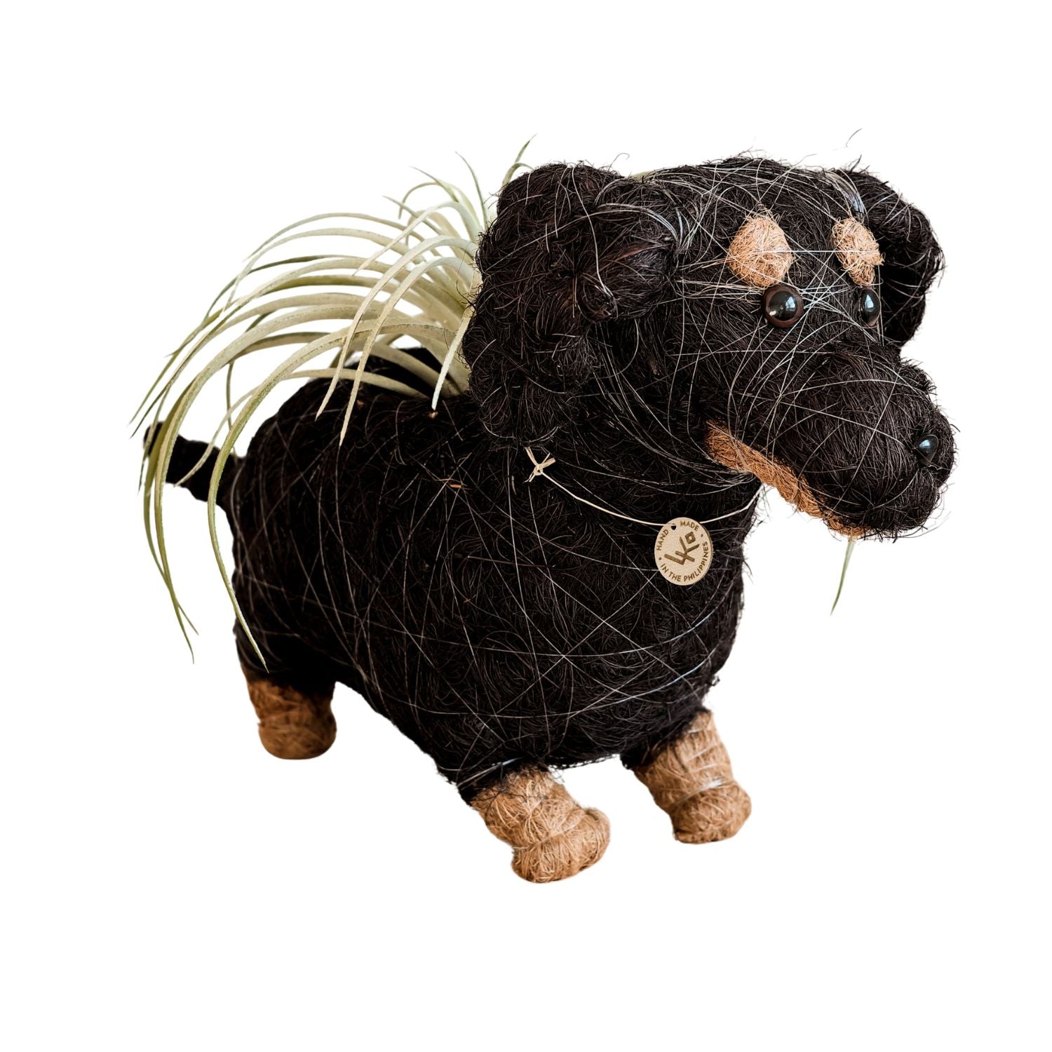 Dachshund Dog Planter - Coco Planter