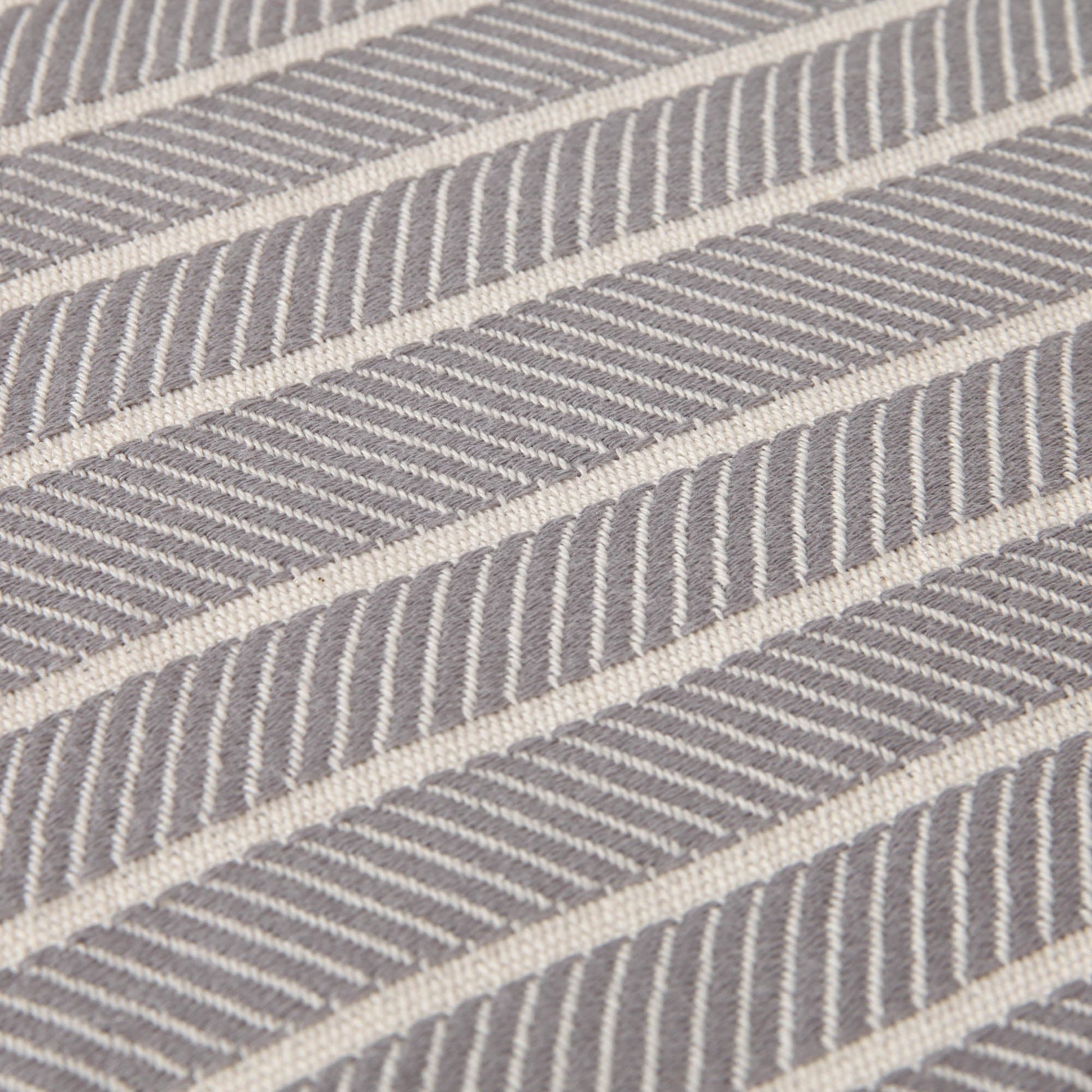 image-19