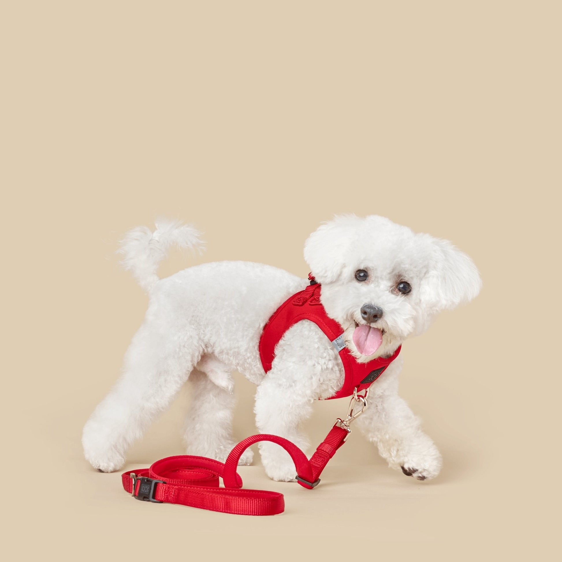designer dog leashes and collars, designer dog collar and leash, pet accessories designer, fancy harness for dogs, luxury dog harness, fancy dog stuff, pet accessories designer, stylish dog leash