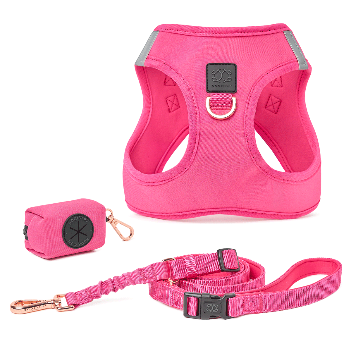 designer dog leashes and collars, designer dog collar and leash, pet accessories designer, fancy harness for dogs, luxury dog harness, fancy dog stuff, pet accessories designer, stylish dog leash