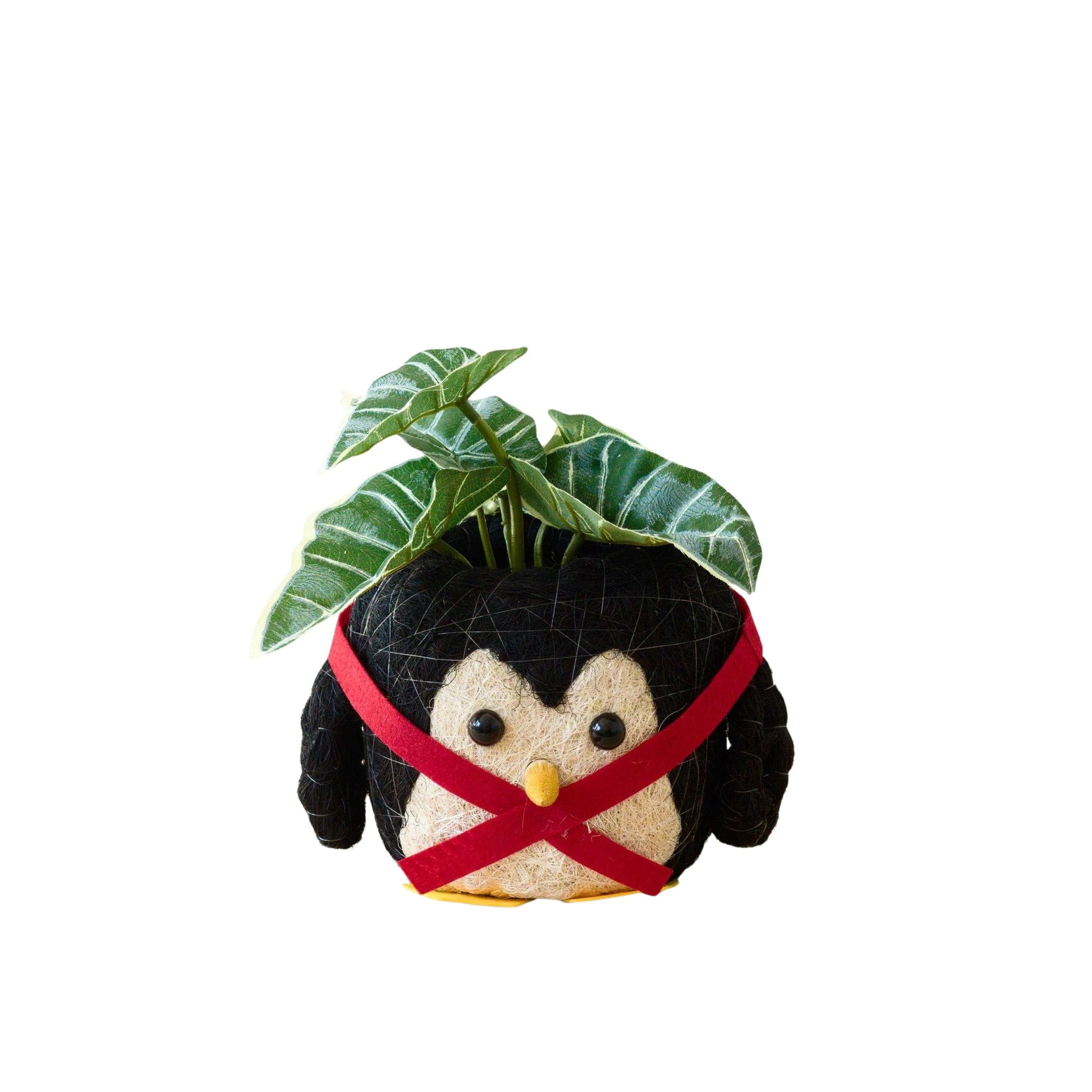 - Penguin Planter - Coco Coir Pot | LIKHA - LIKHÂ