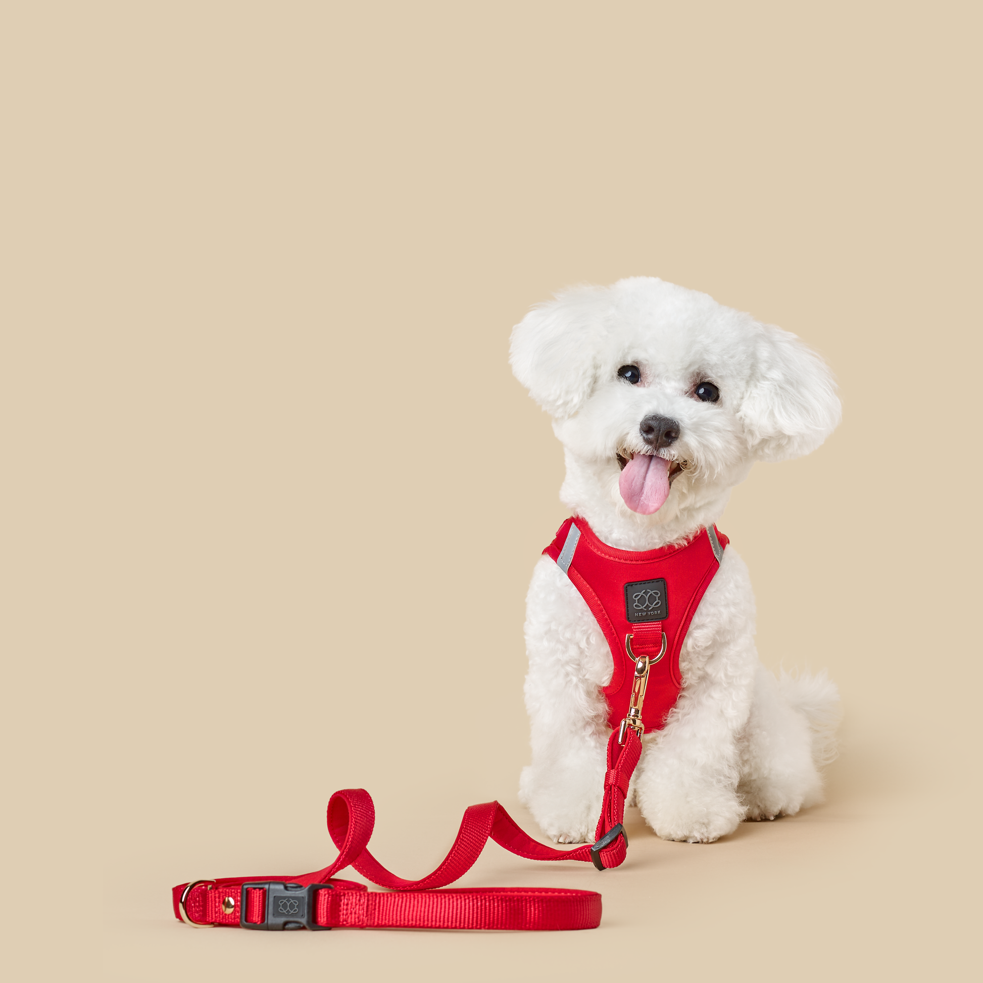designer dog leashes and collars, designer dog collar and leash, pet accessories designer, fancy harness for dogs, luxury dog harness, fancy dog stuff, pet accessories designer, stylish dog leash