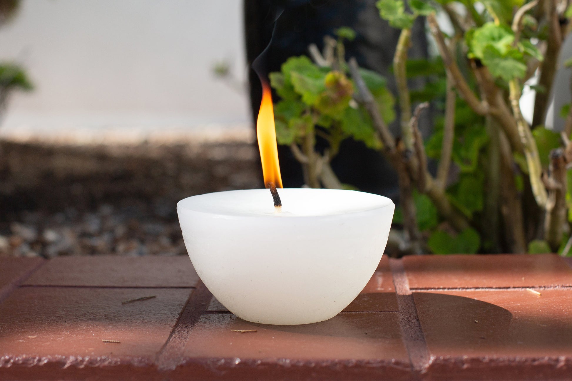 Luma Afrika Outdoor Bowl candle 6.75" width sitting outside on a ledge.  Infused with citronella & lavender to repell insects. 
