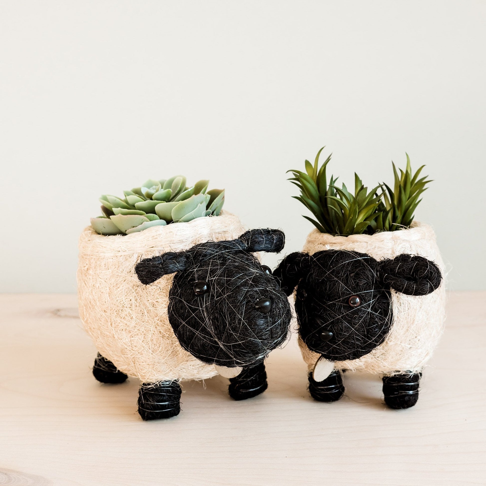 Planters - Sheep Planter - Coco Coir Pots | LIKHÂ - LIKHÂ