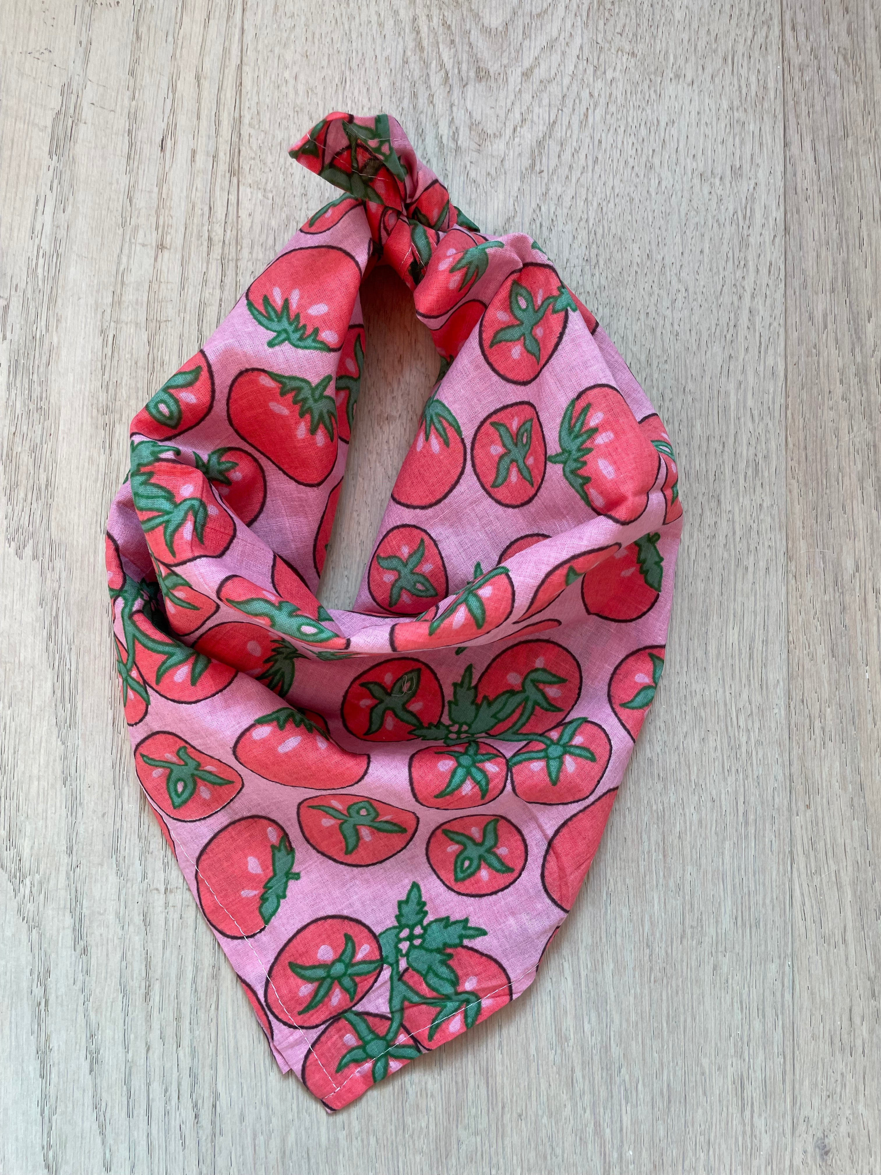 Bandana Scarf - Tomato Pink Square