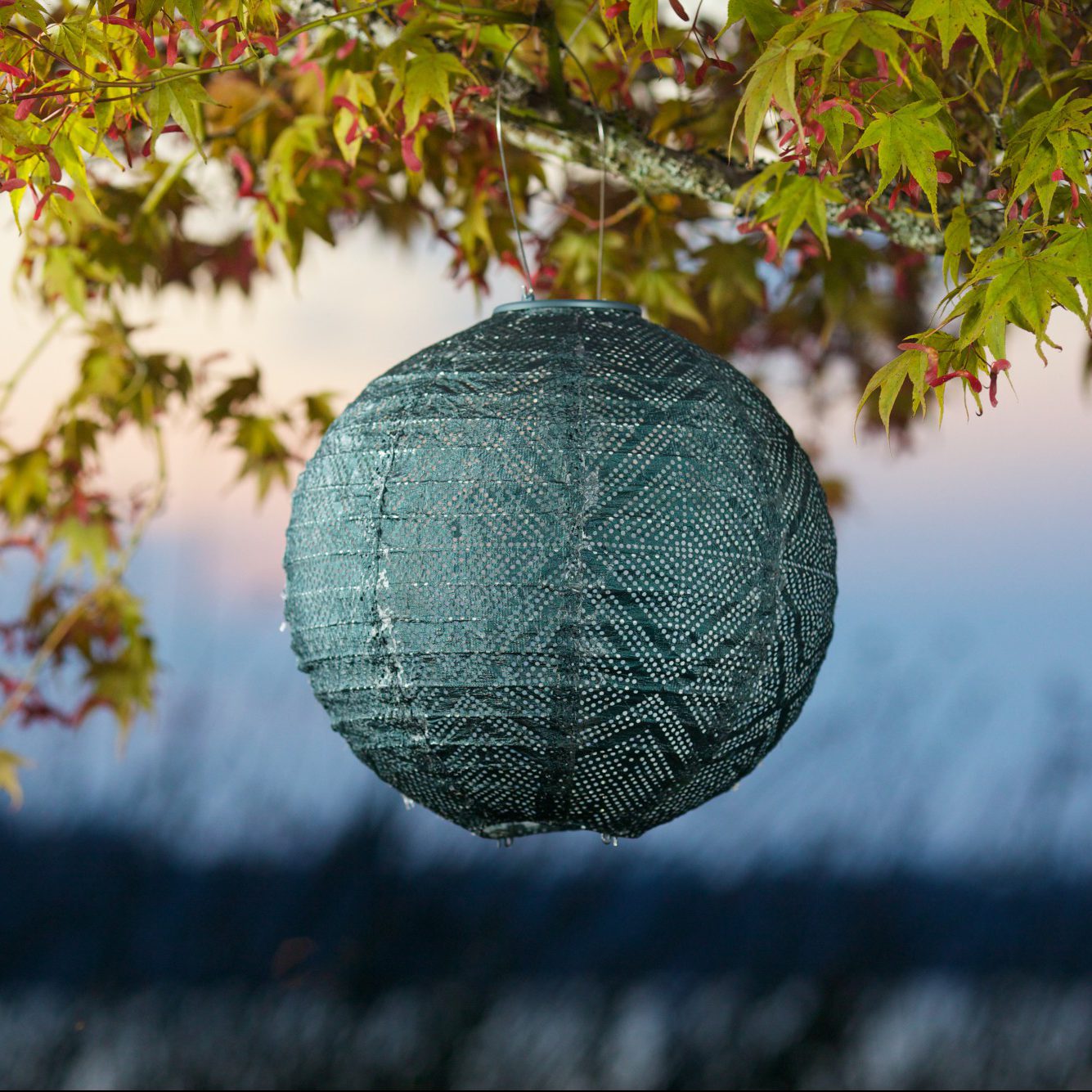 Soji Stella Market 12" Tyvek Solar Lantern on branch