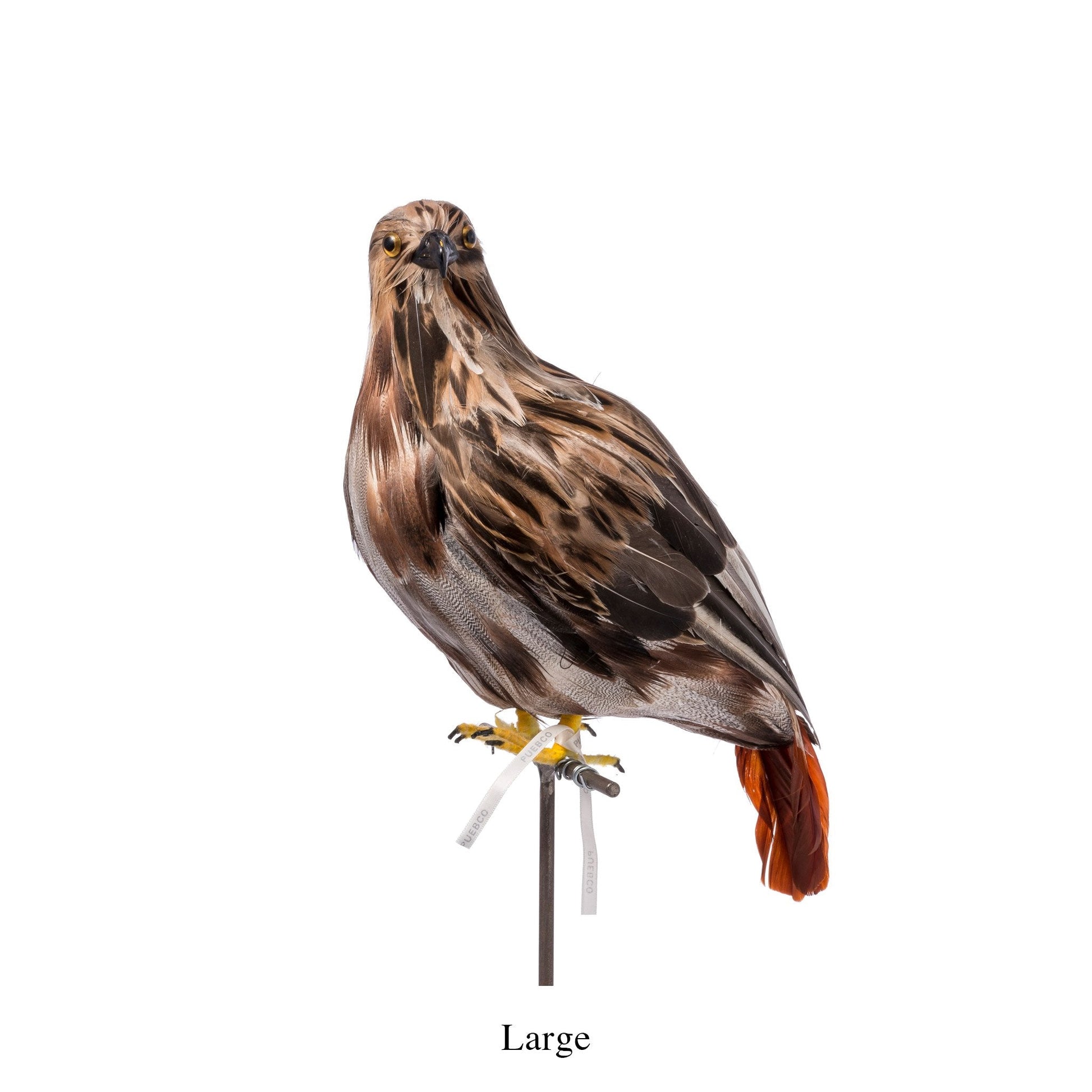 Artificial Birds Eagle 3