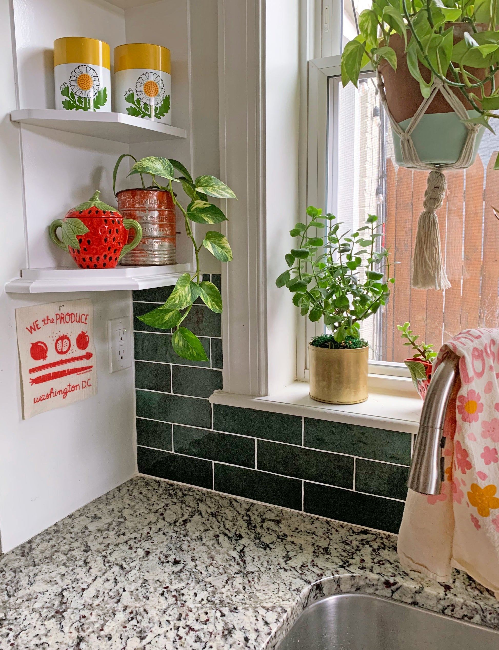 DC sponge cloth hung up by the kitchen sink