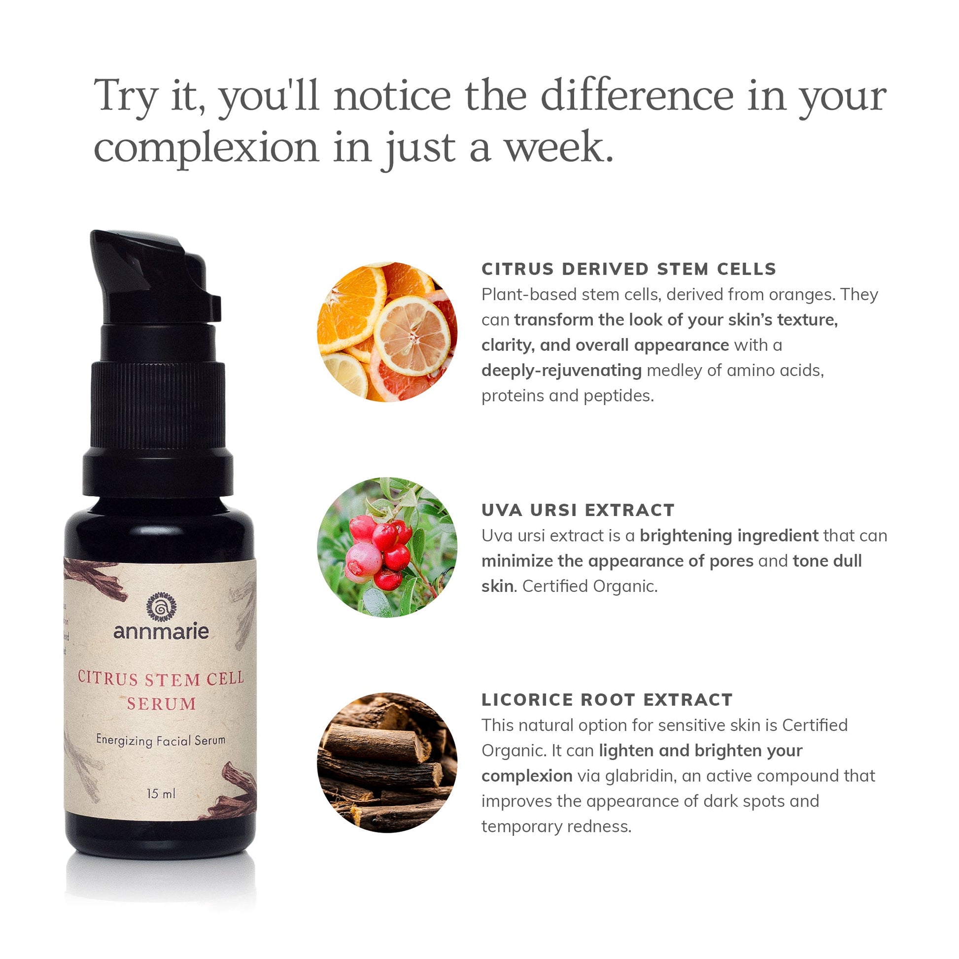 Citrus Stem Cell Serum infographic highlighting citrus-derived stem cells, uva ursi extract, and licorice root extract benefits for brighter, smoother skin.