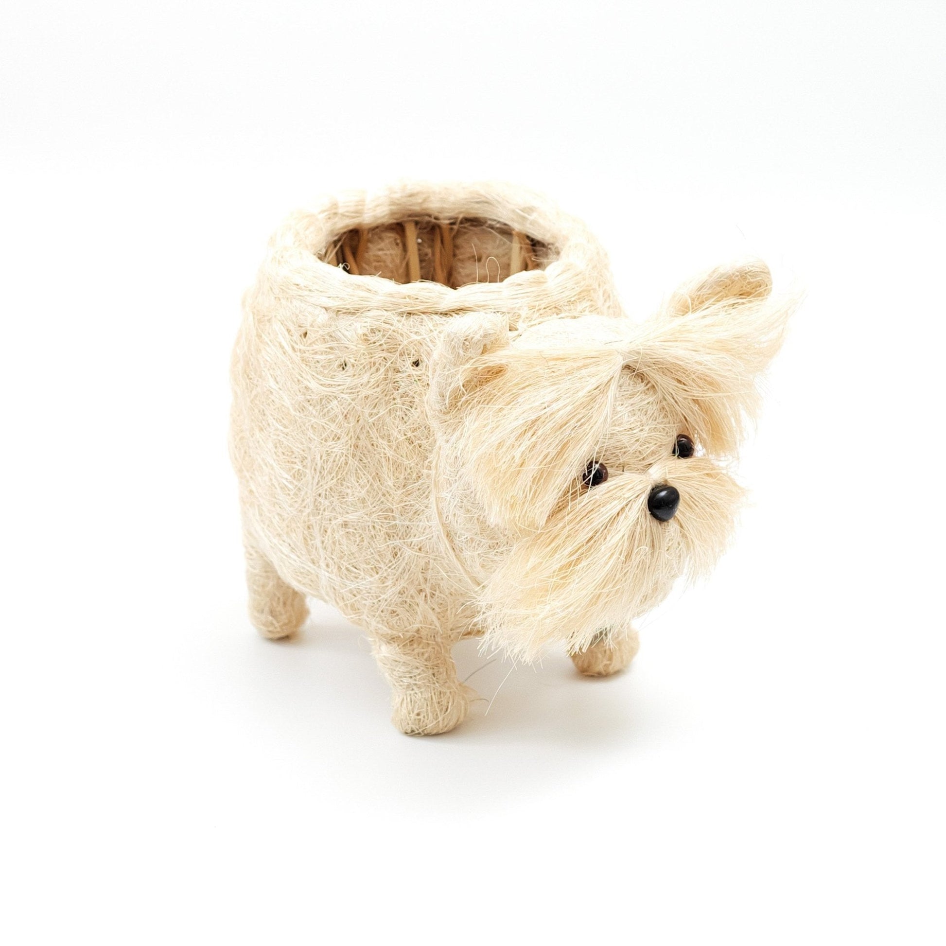 Planters - Westie Planter - Coco Coir Pots | LIKHÂ - LIKHÂ