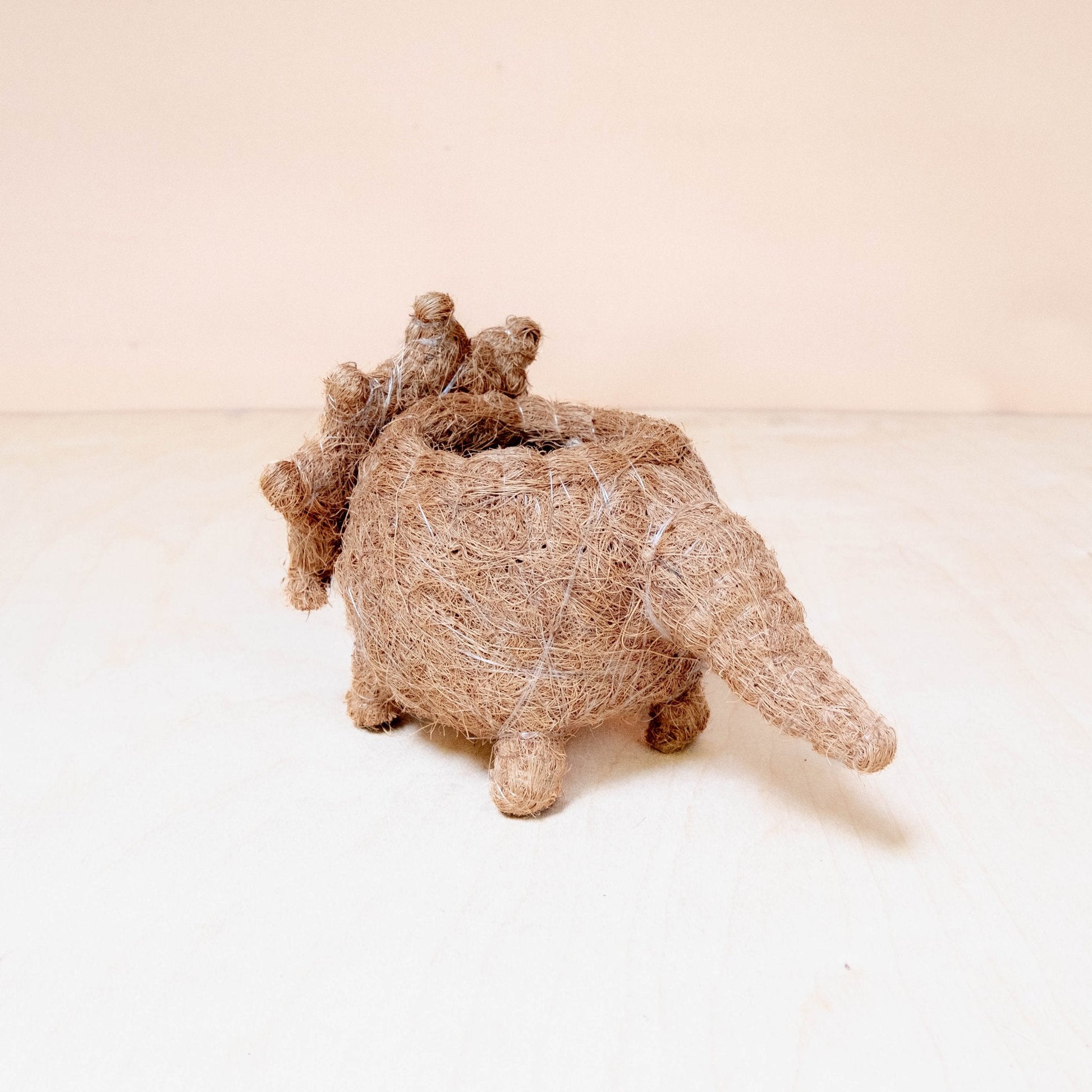 Planters - Baby Triceratops Planter - Handmade Plant Pots | LIKHÂ - LIKHÂ