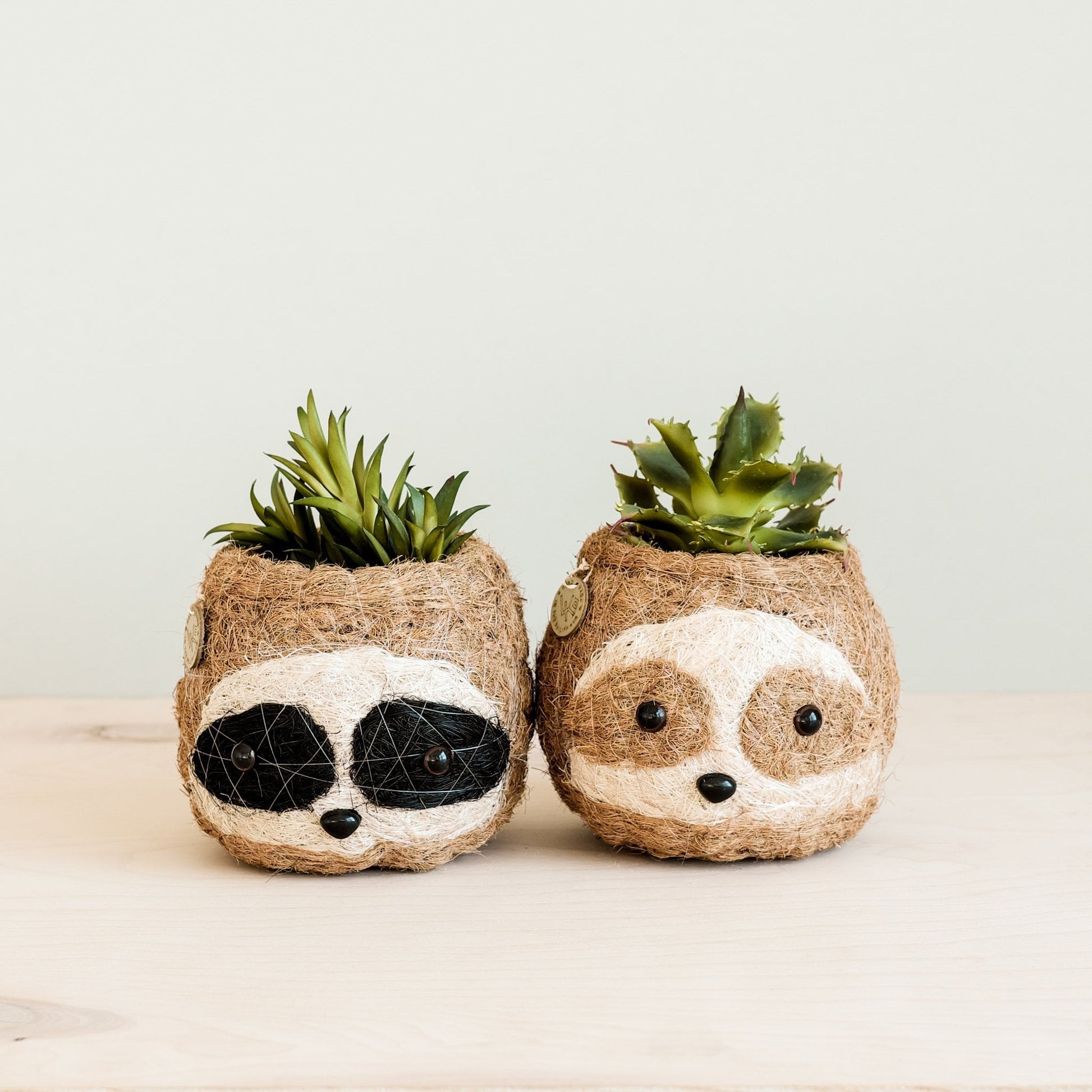 Planters - Two-tone Sloth Coco Coir Planter - Handmade Planters | LIKHÂ - LIKHÂ