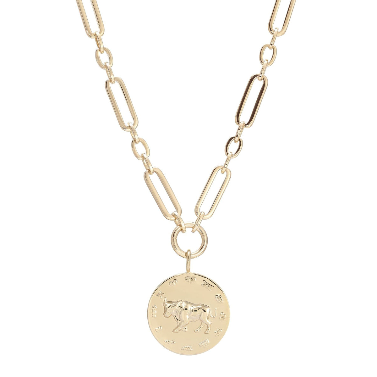 Gold-toned chain necklace with Zodiac pendant perfect for astrology lovers