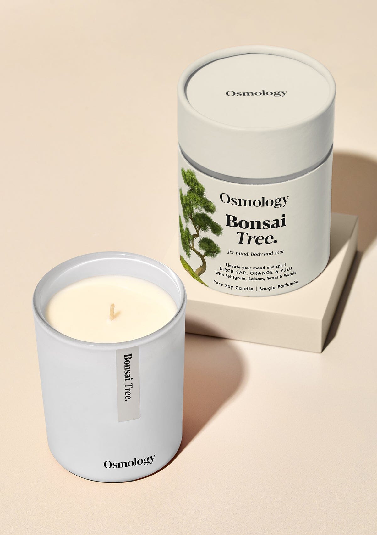Osmology Bonsai Tree scented candle with packaging tube on white background  