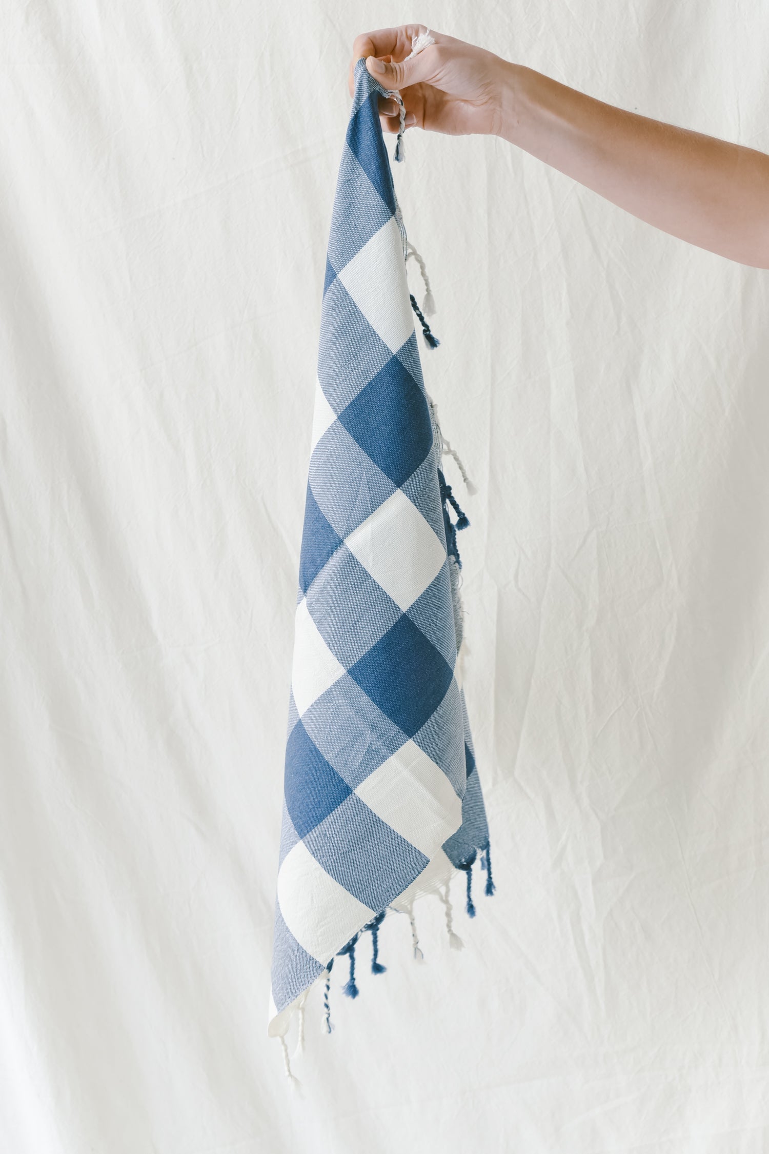 home and loft buffalo check hand towel