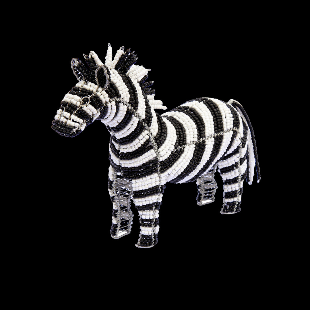 Zebra Extol Accessories