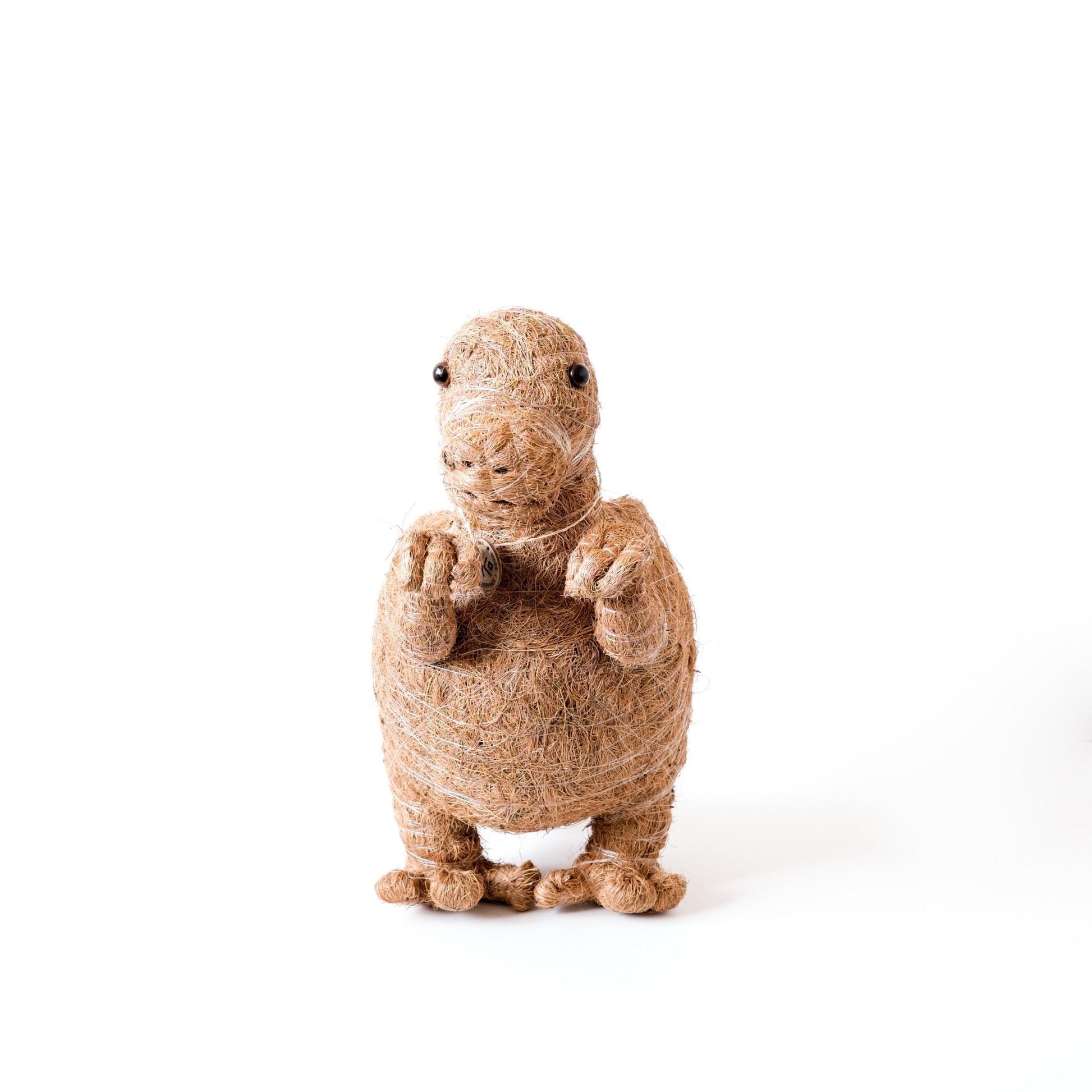 Planters - Baby T - Rex Planter - Handcrafted Pots | LIKHÂ - LIKHÂ