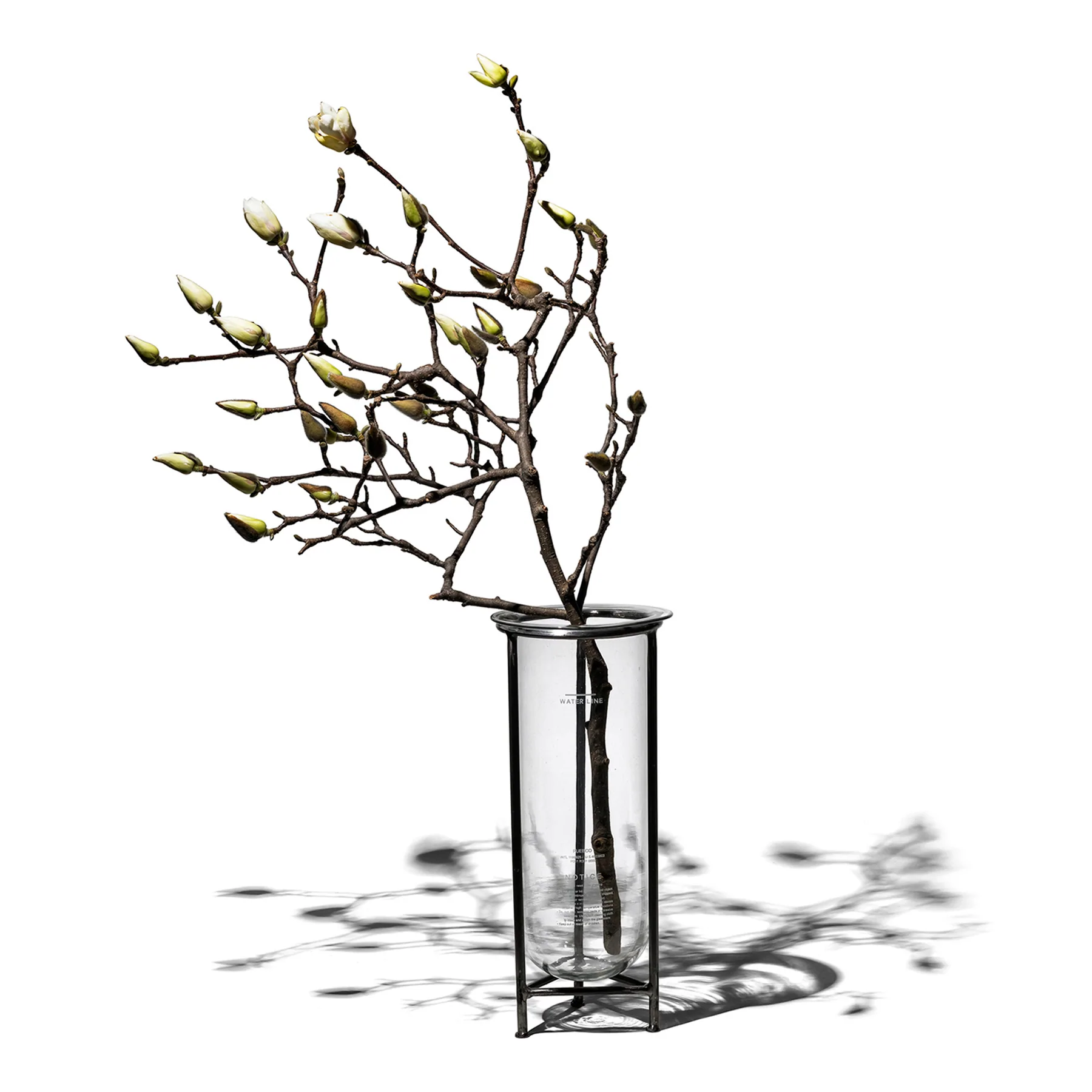 Glass Tube With Stand 1