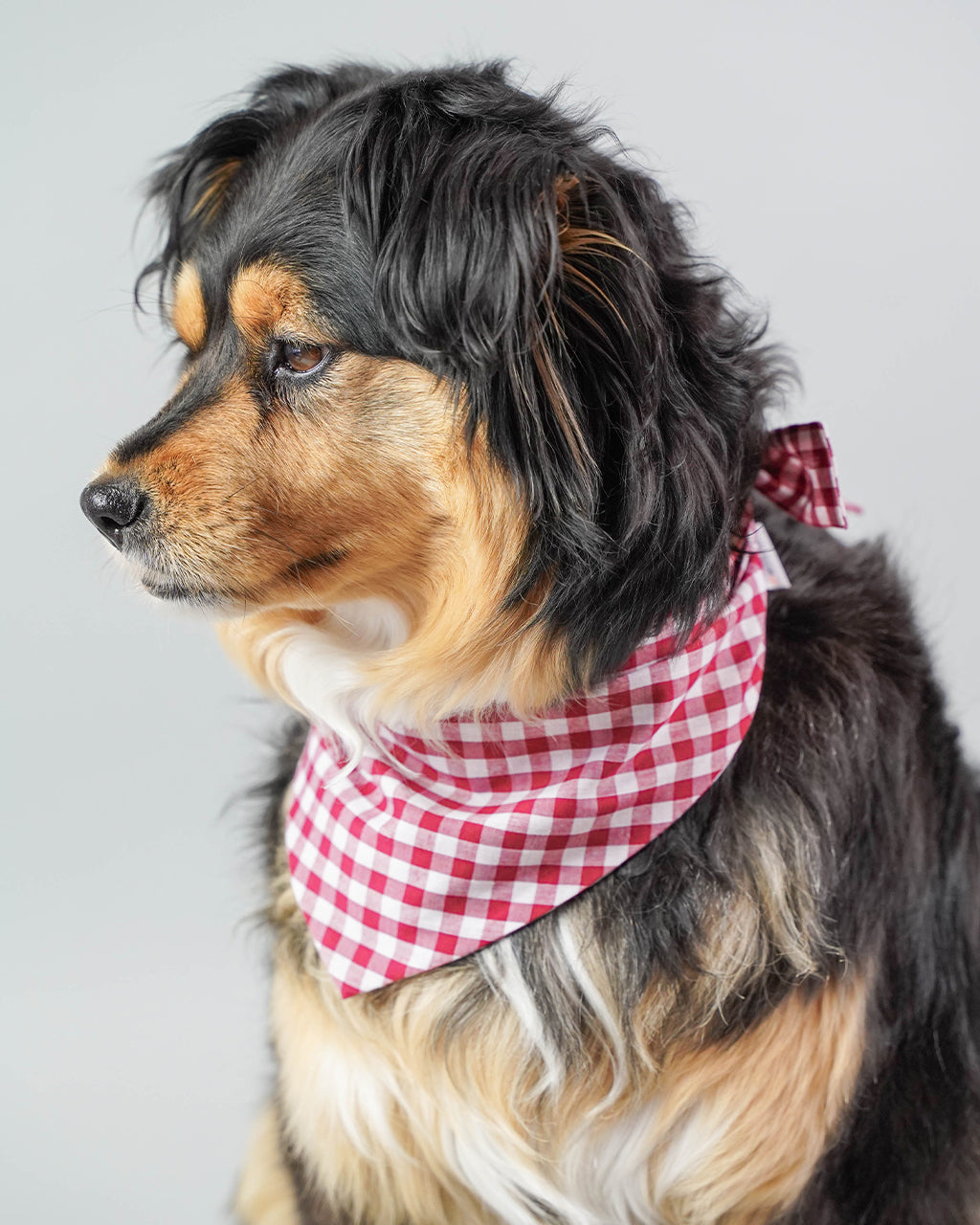 berry gingham