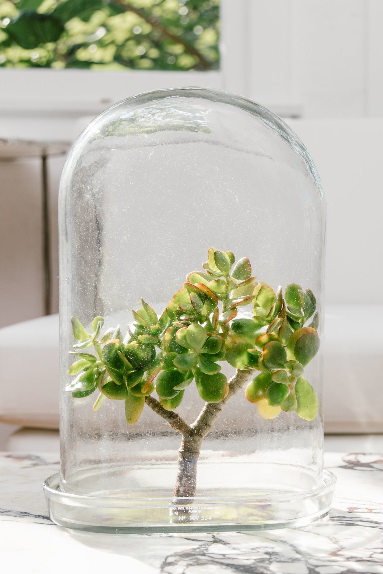 Display Glass Dome 5