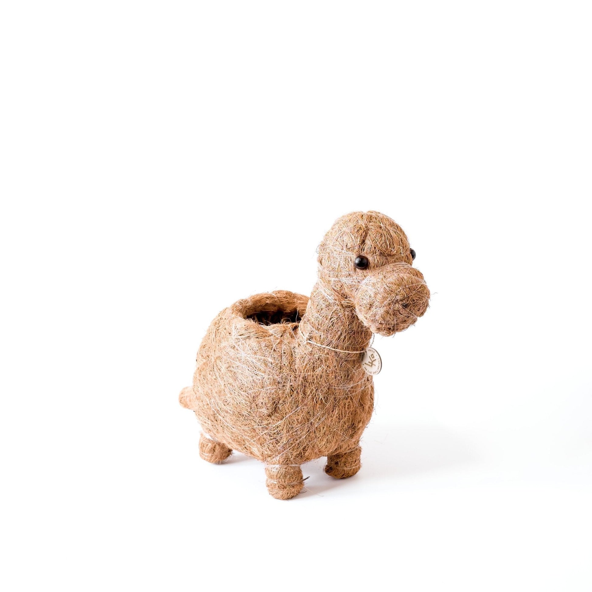 Planters - Brontosaurus Planter - Coco Coir Pots | LIKHÂ - LIKHÂ