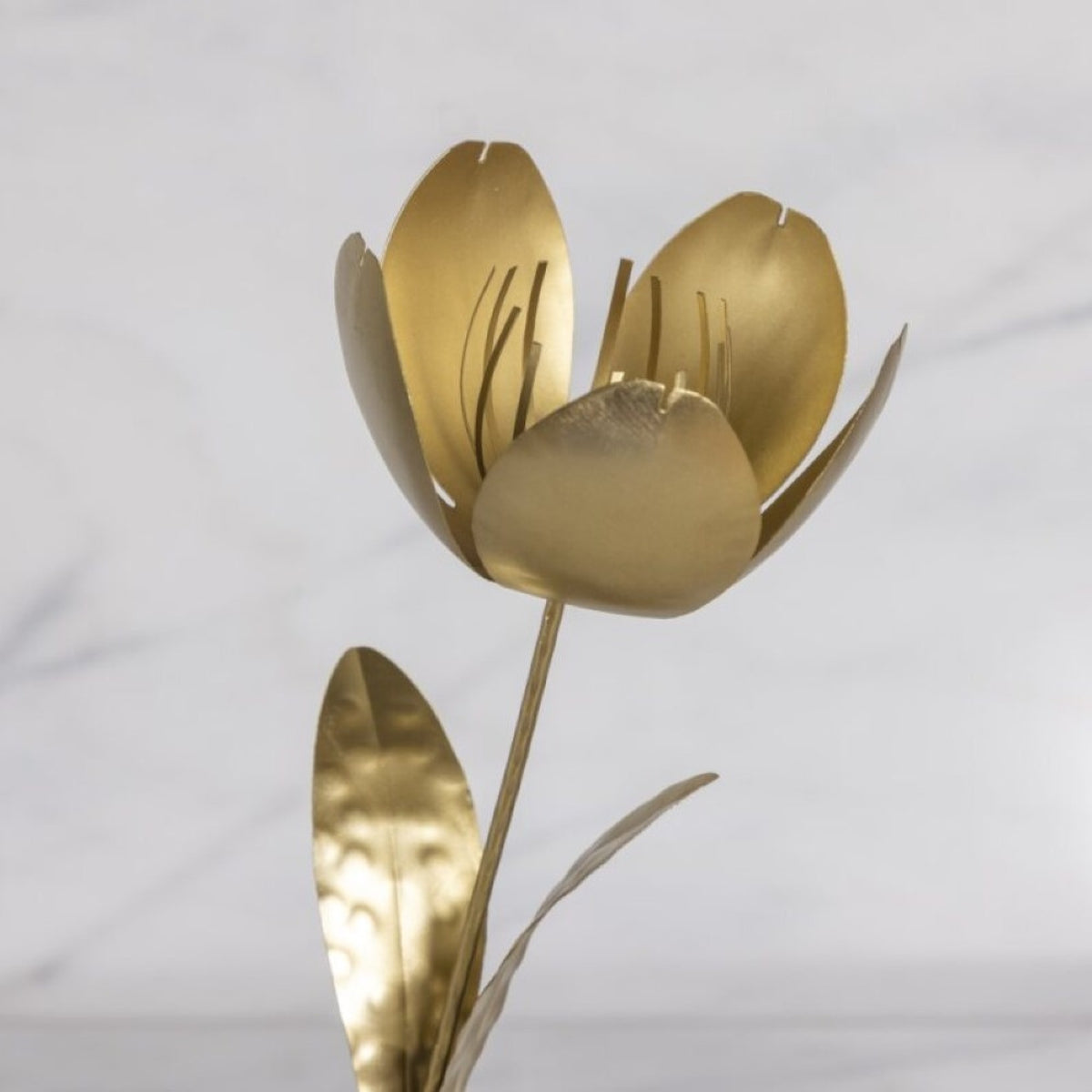 Botanical Stem, Tulip