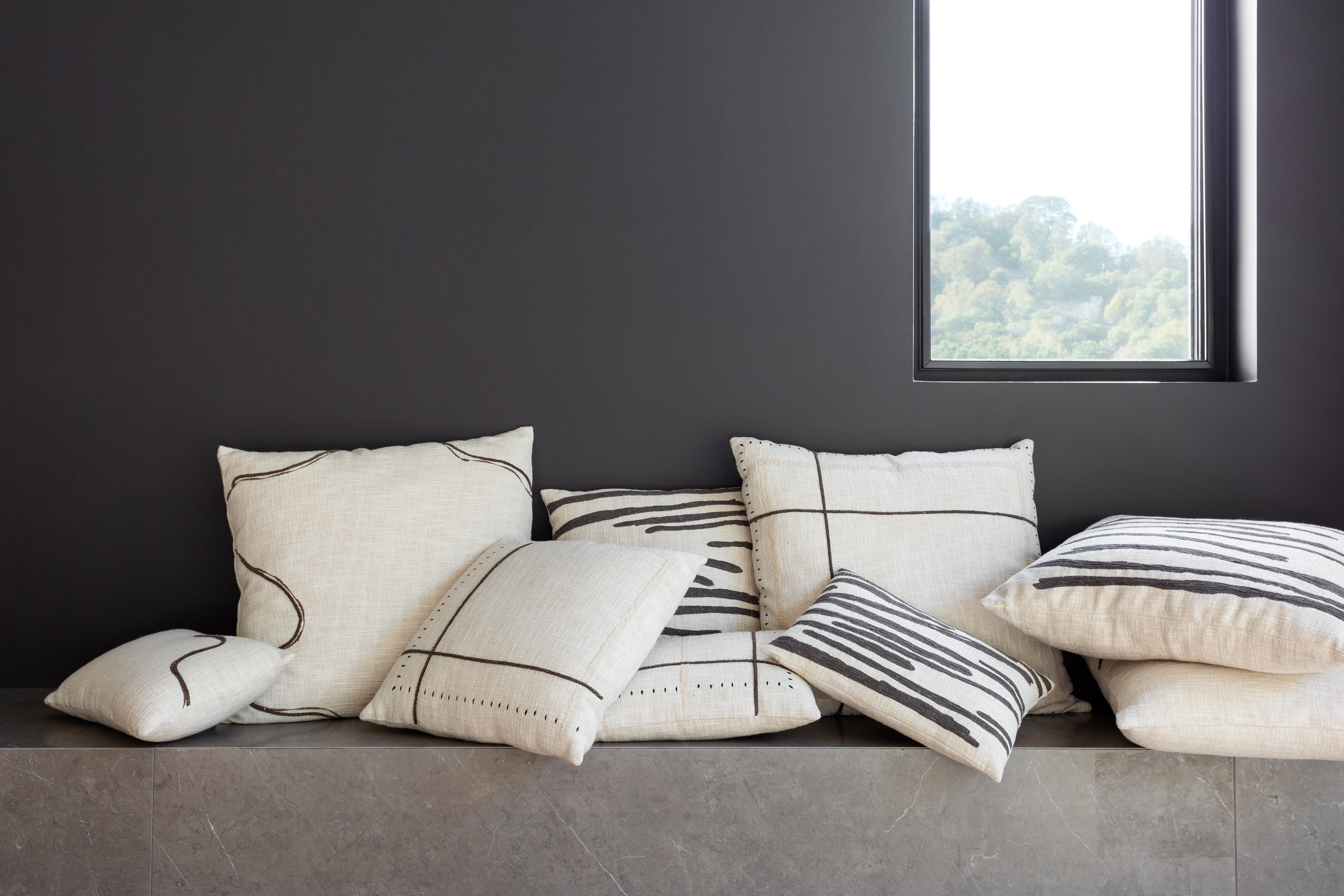 Frame Pillows