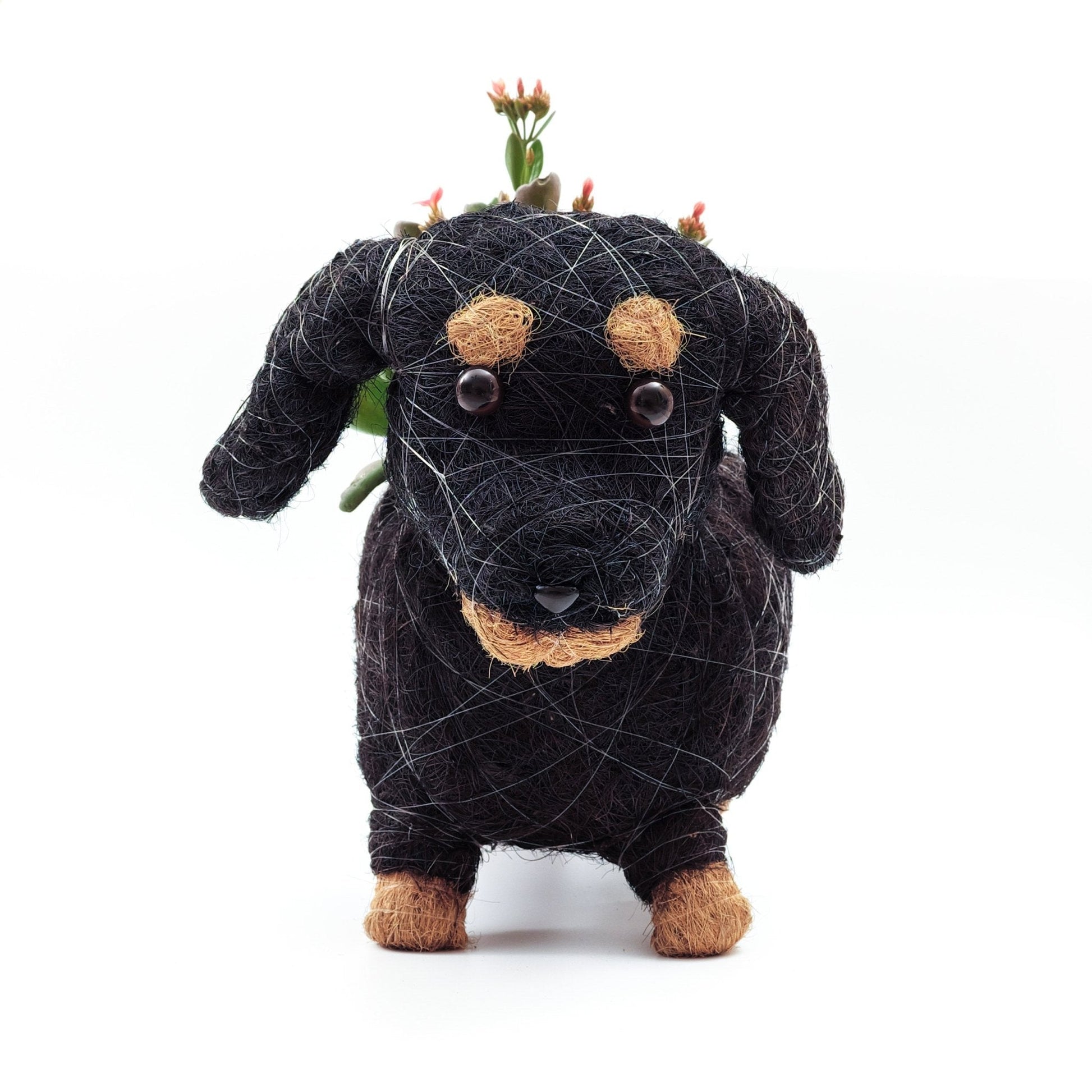 Planters - Baby Dachshund - Coco Coir Pots | LIKHÂ - LIKHÂ