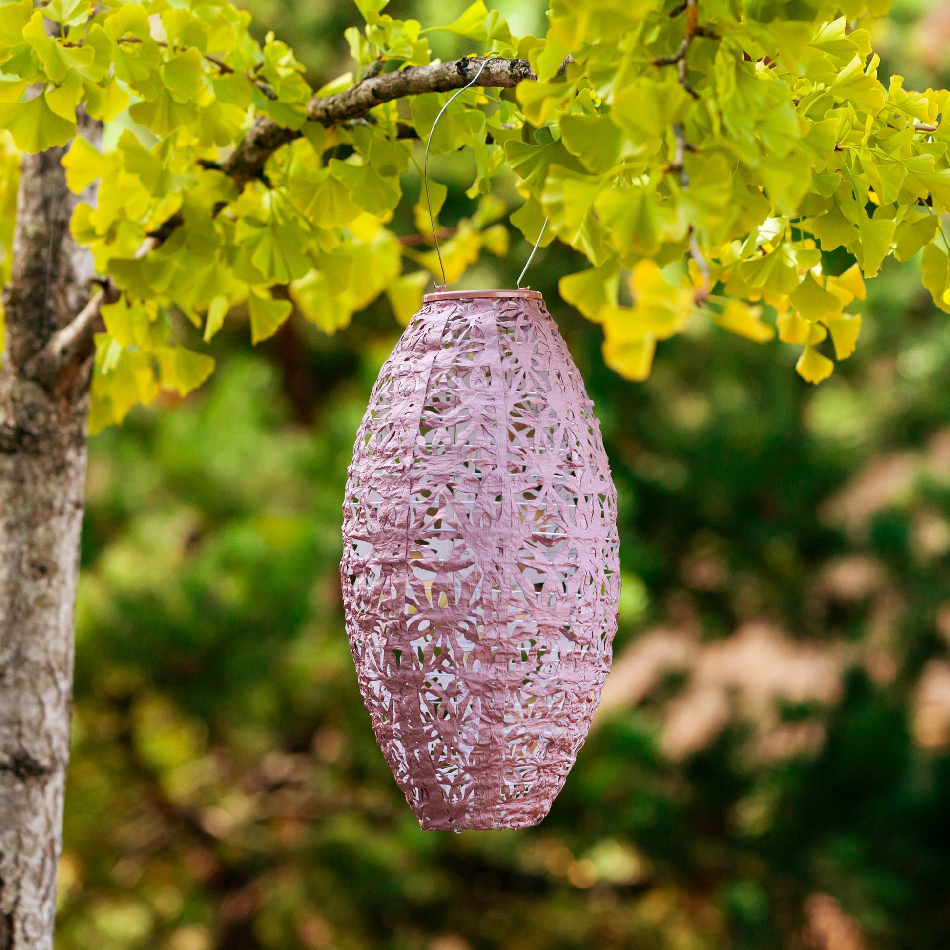 Stella Wildflower Pod Blush on Branch