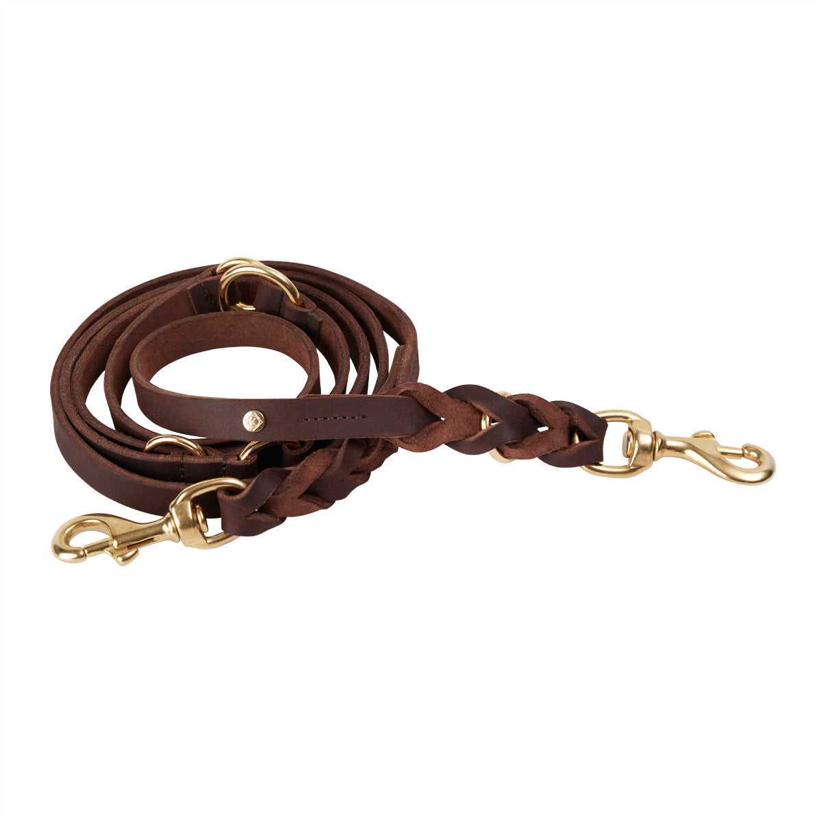 Robin Dog Leash Choko 1