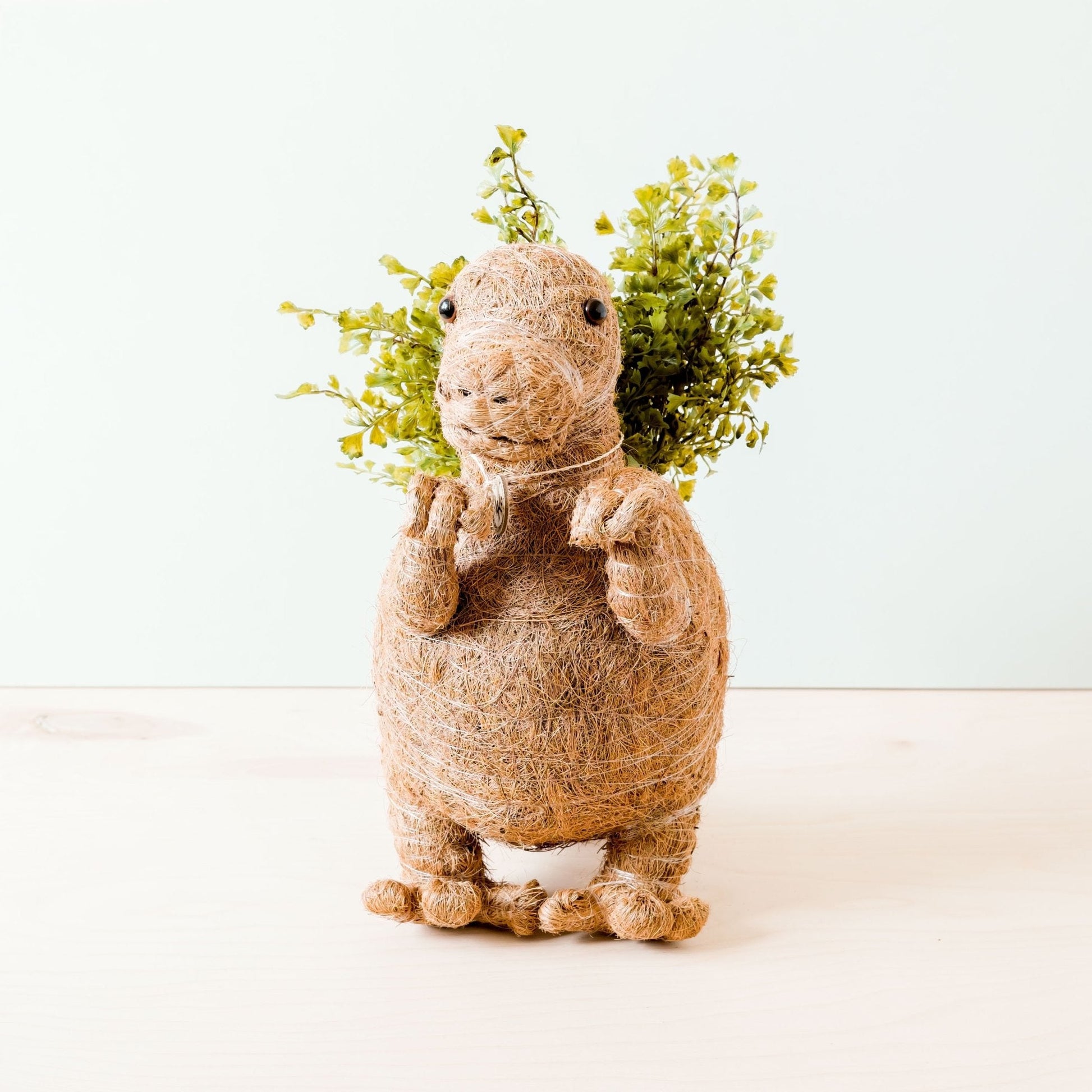 Planters - T-Rex Planter - Coco Coir Pots | LIKHÂ - LIKHÂ