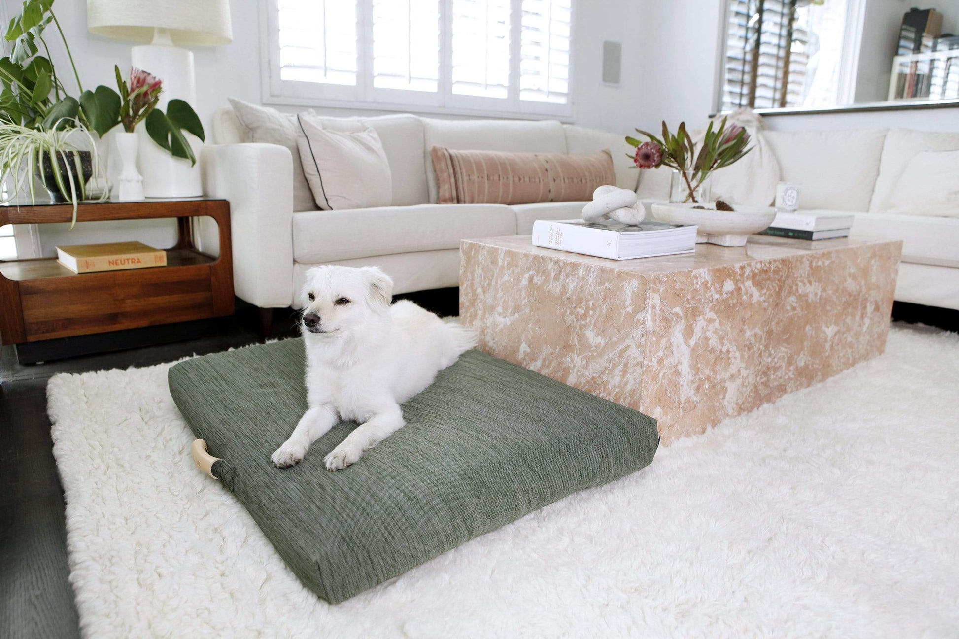 Laylo Pets Minimalist Sage Dog Bed or Bed Cover Lay Lo Pets