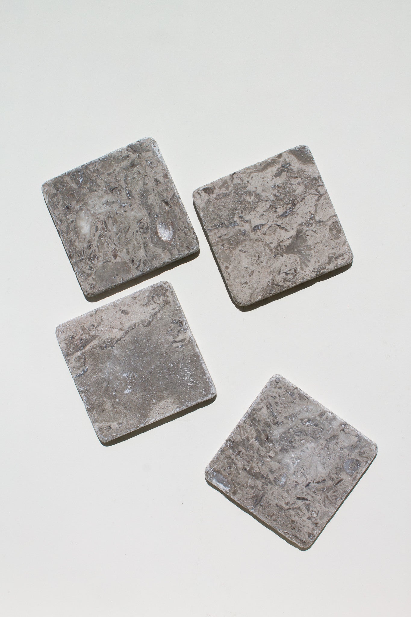 fossil