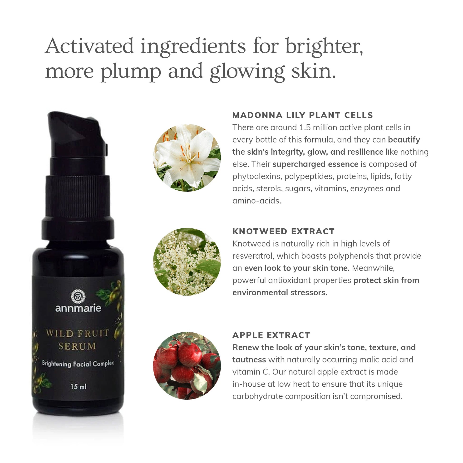Wild Fruit Serum ingredient graphic highlighting Madonna lily plant cells, knotweed extract, and apple extract for brighter, glowing skin.